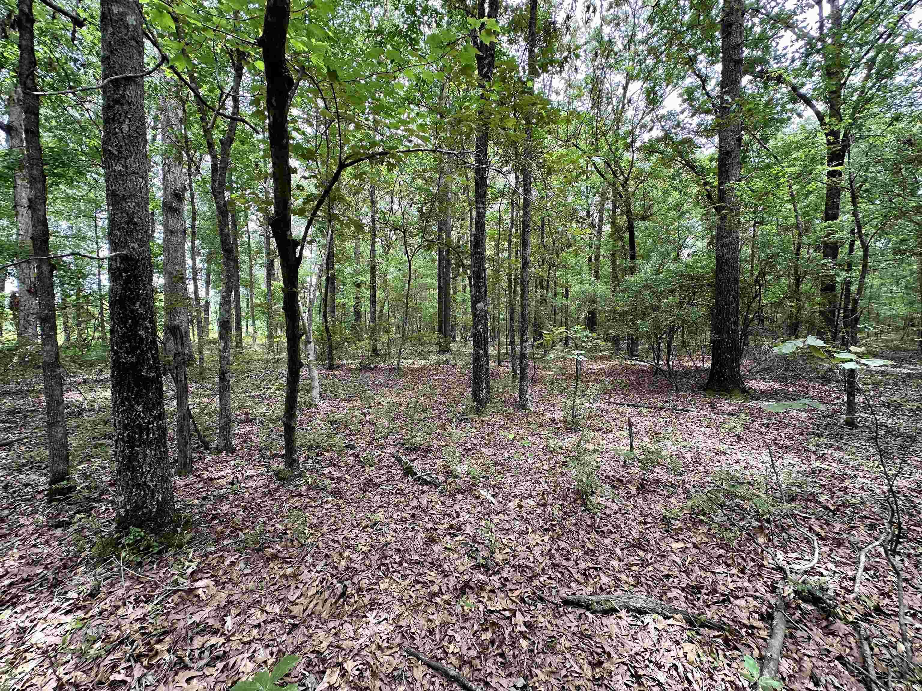 Metes & Bounds - Farm