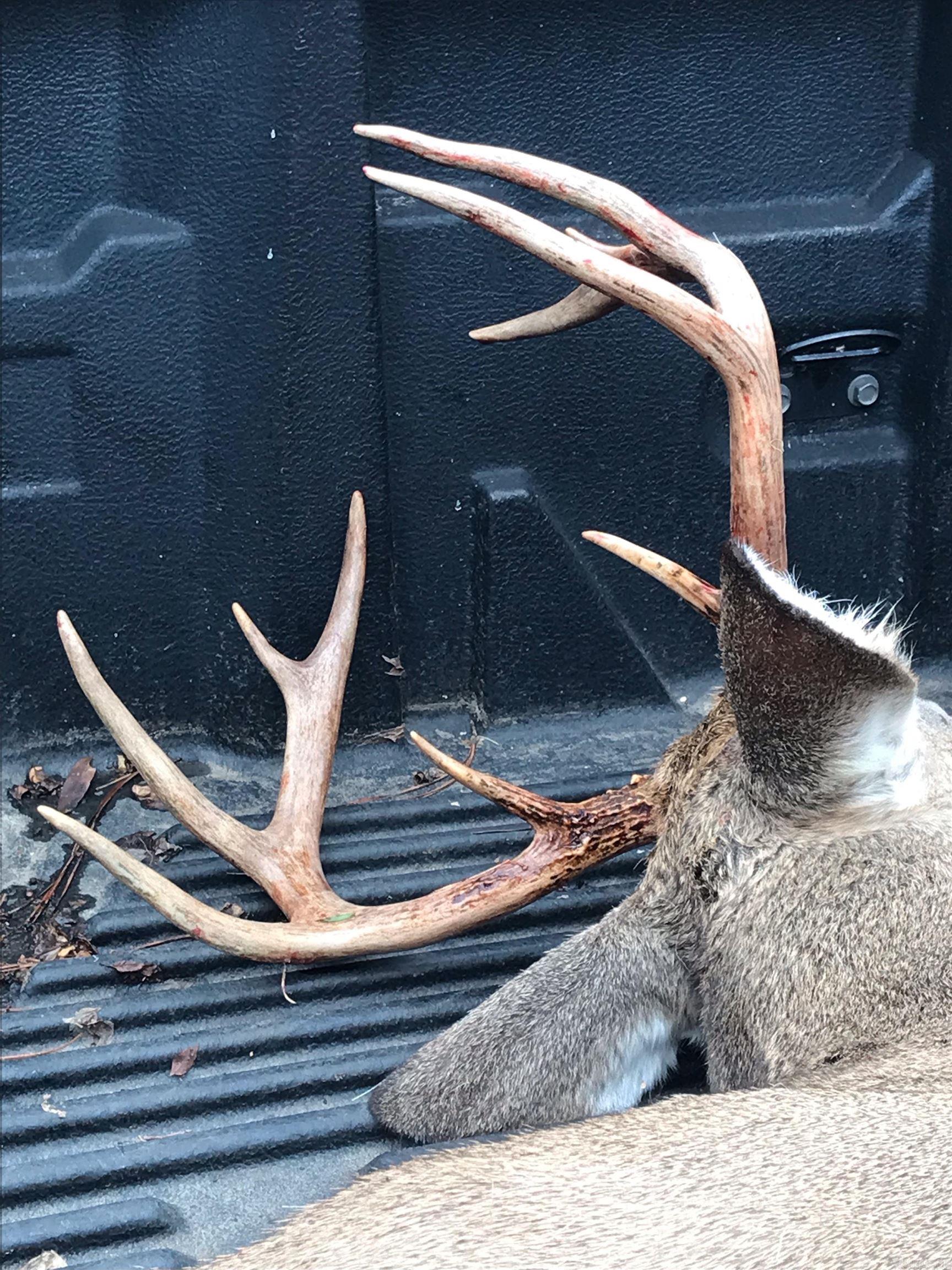 Metes & Bounds - Farm