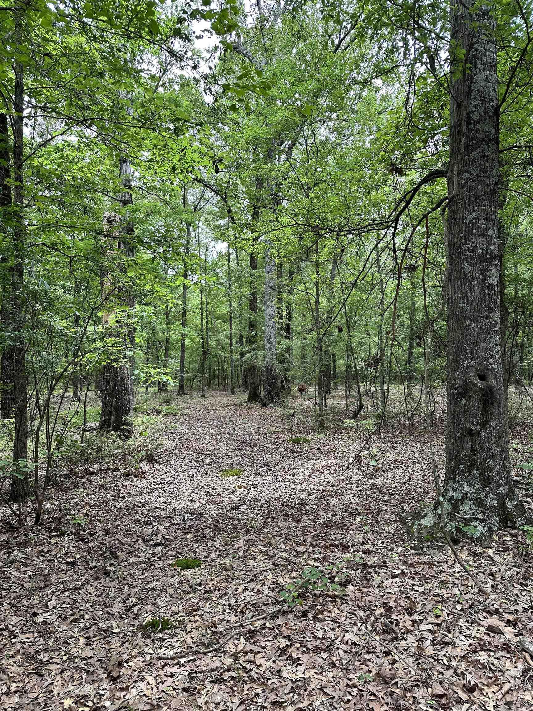 Metes & Bounds - Farm