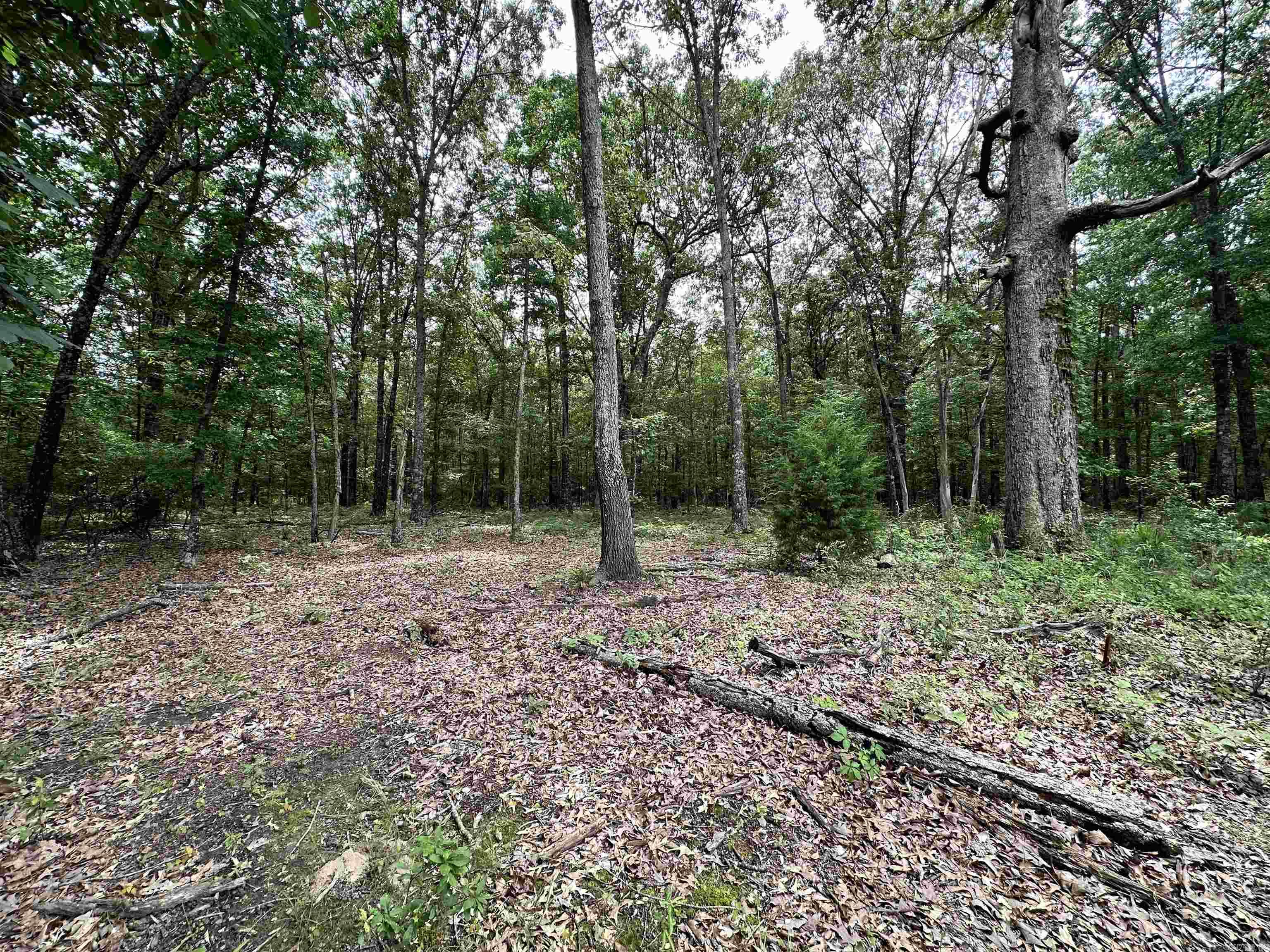 Metes & Bounds - Farm