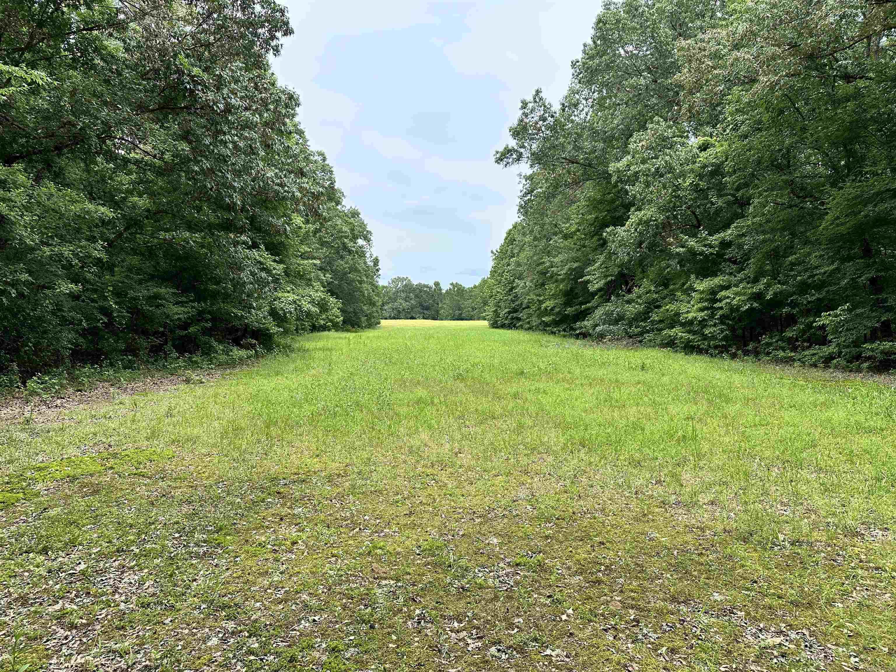 Metes & Bounds - Farm