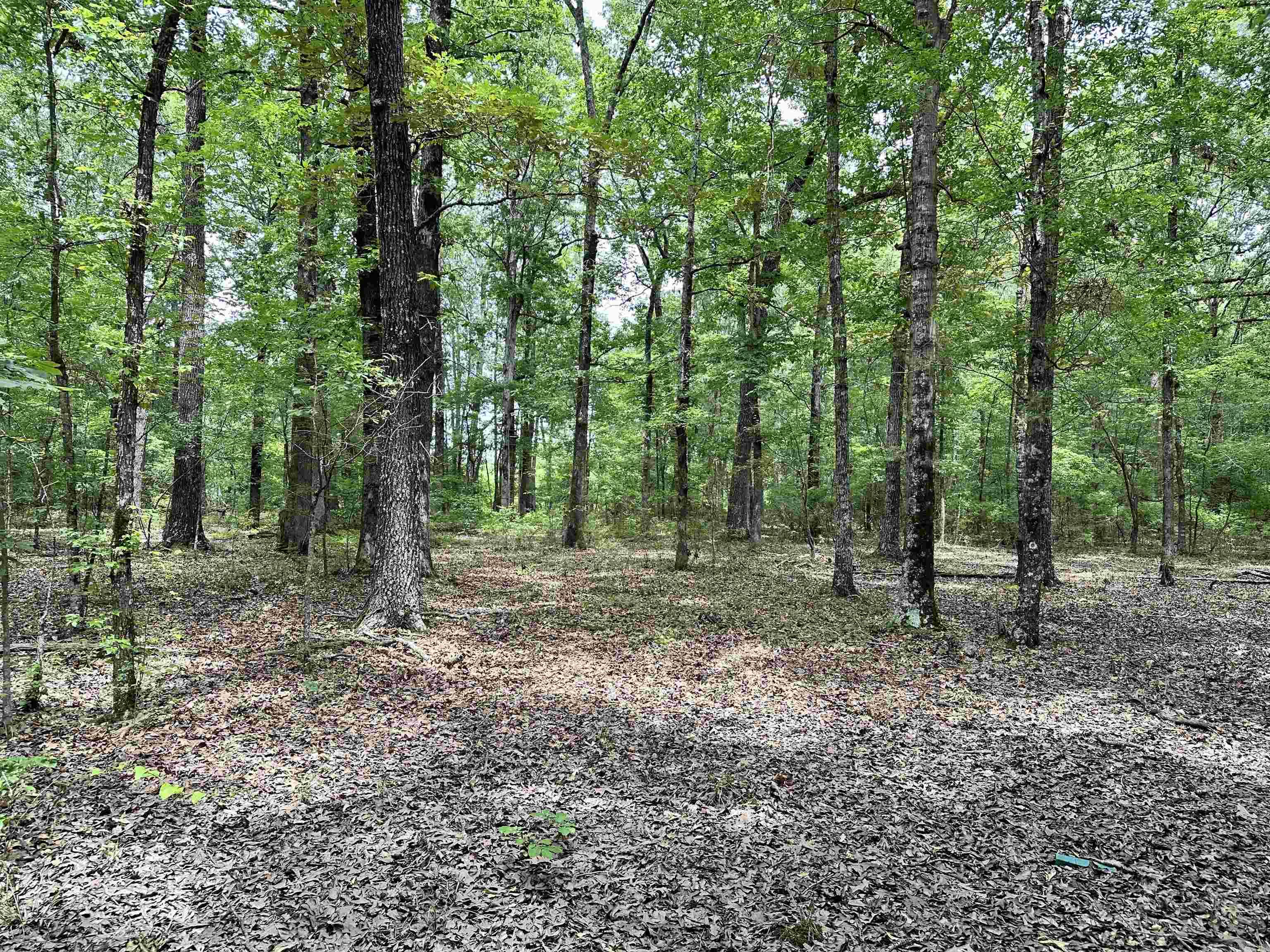 Metes & Bounds - Farm