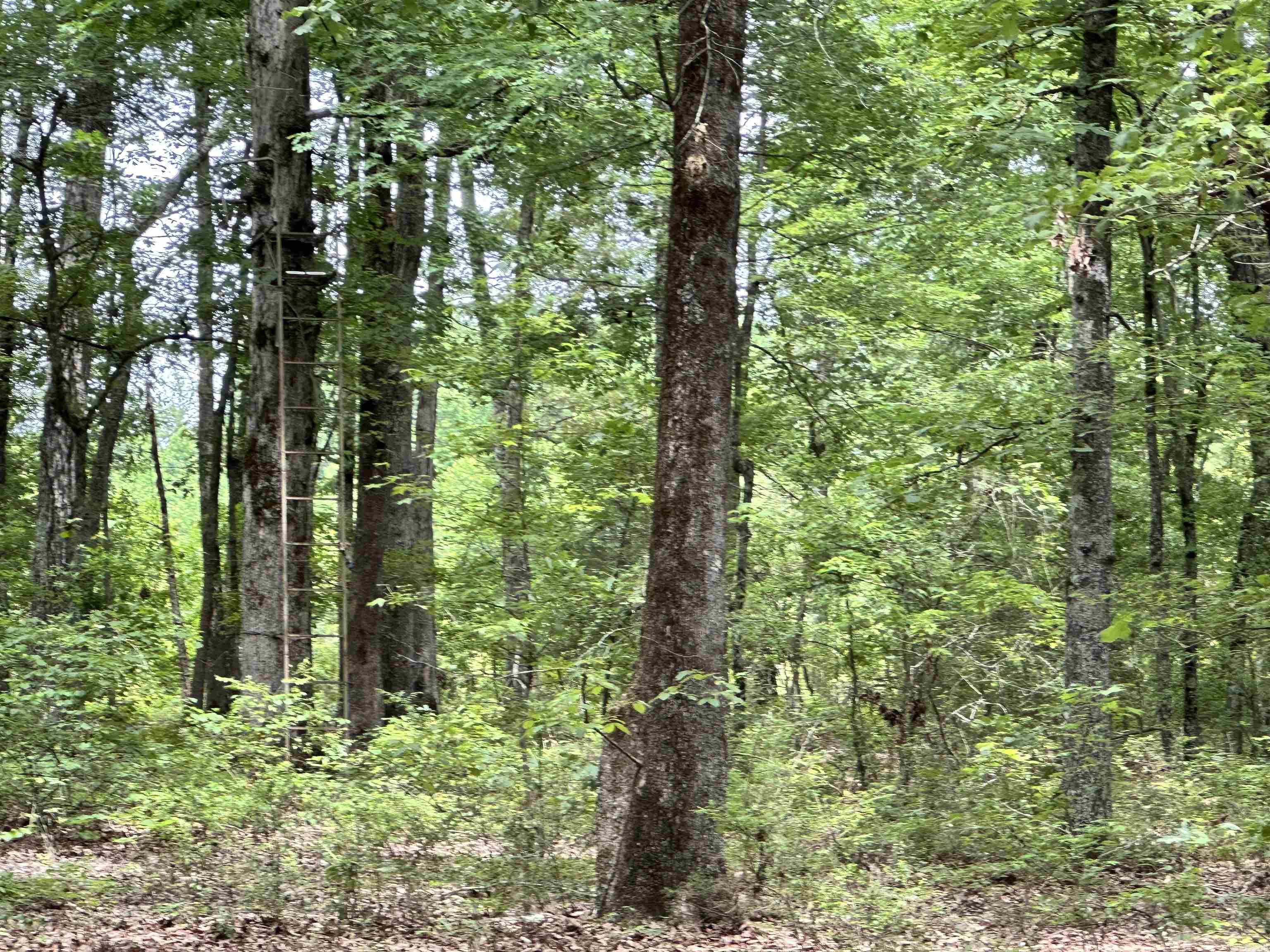 Metes & Bounds - Farm