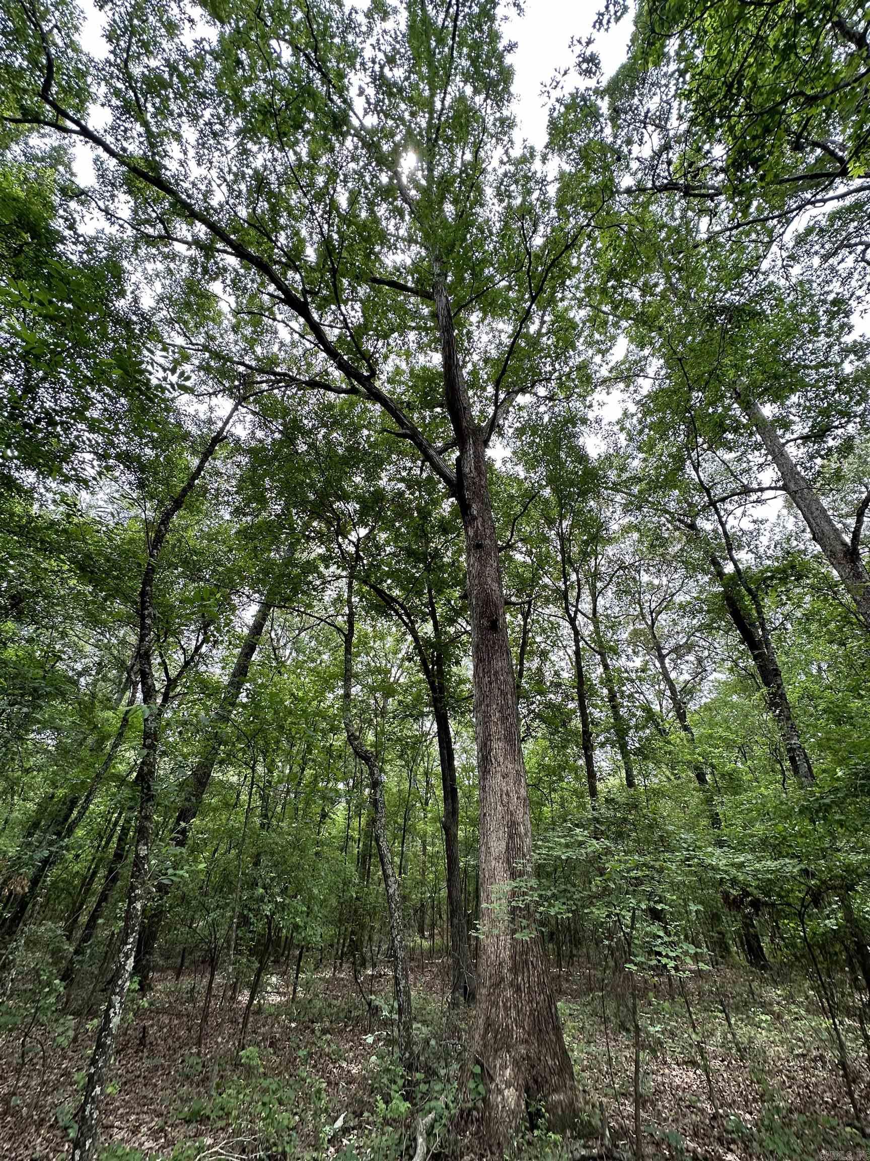 Metes & Bounds - Farm