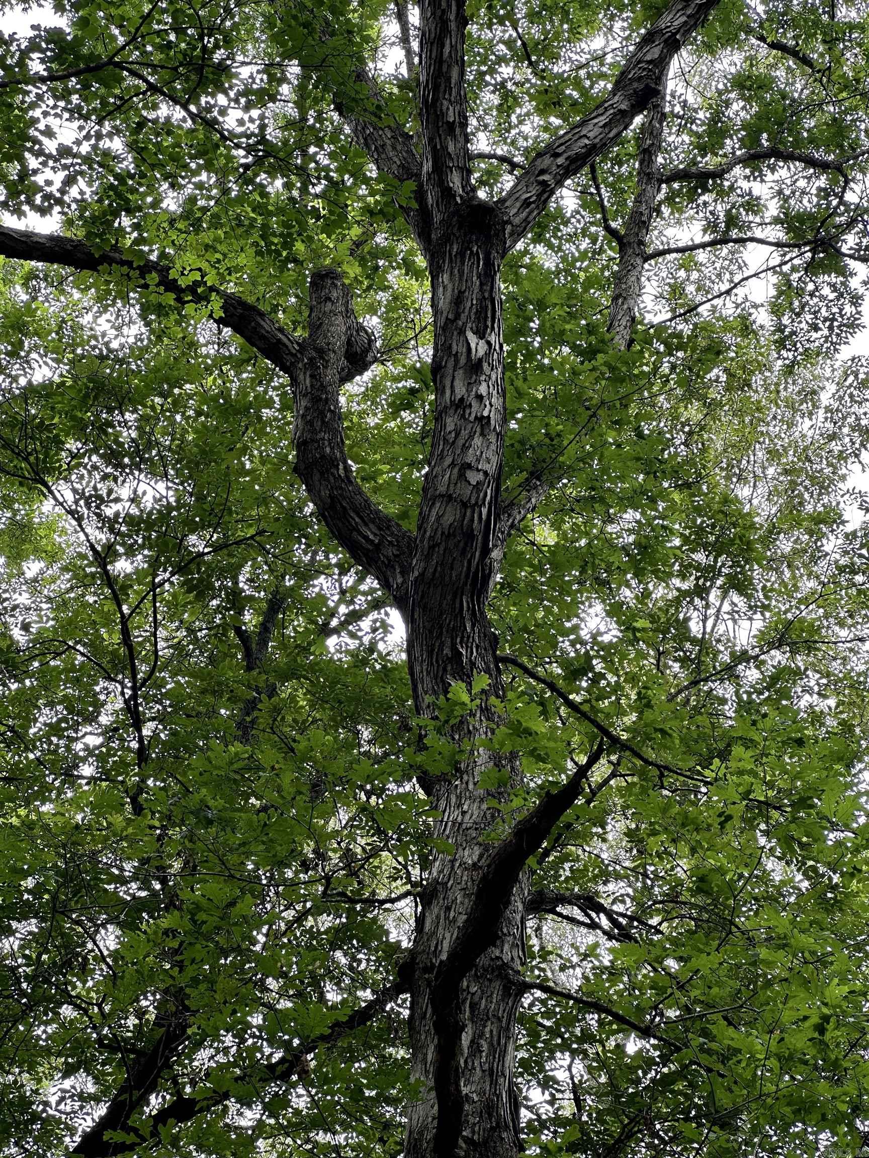 Metes & Bounds - Farm