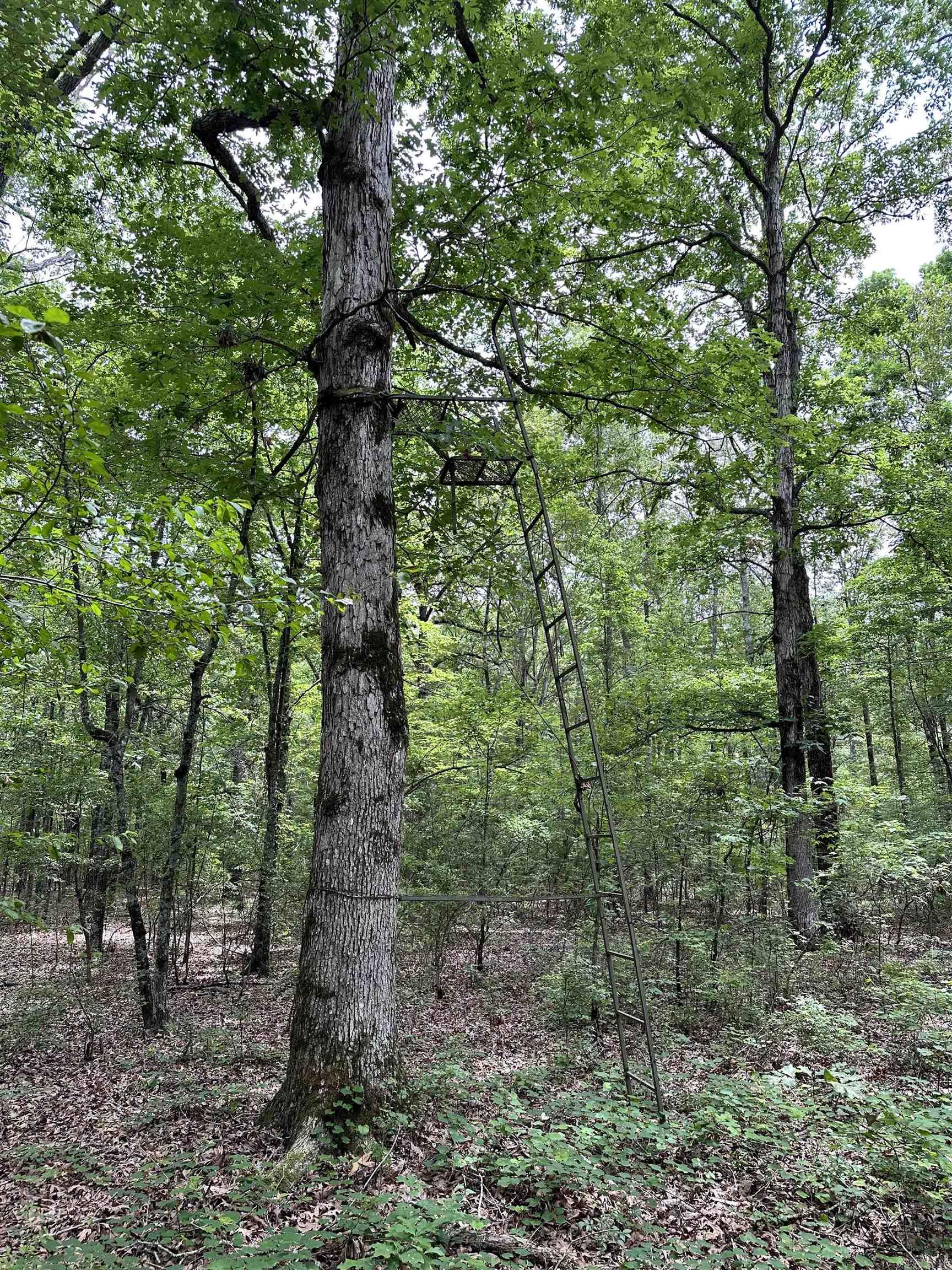 Metes & Bounds - Farm