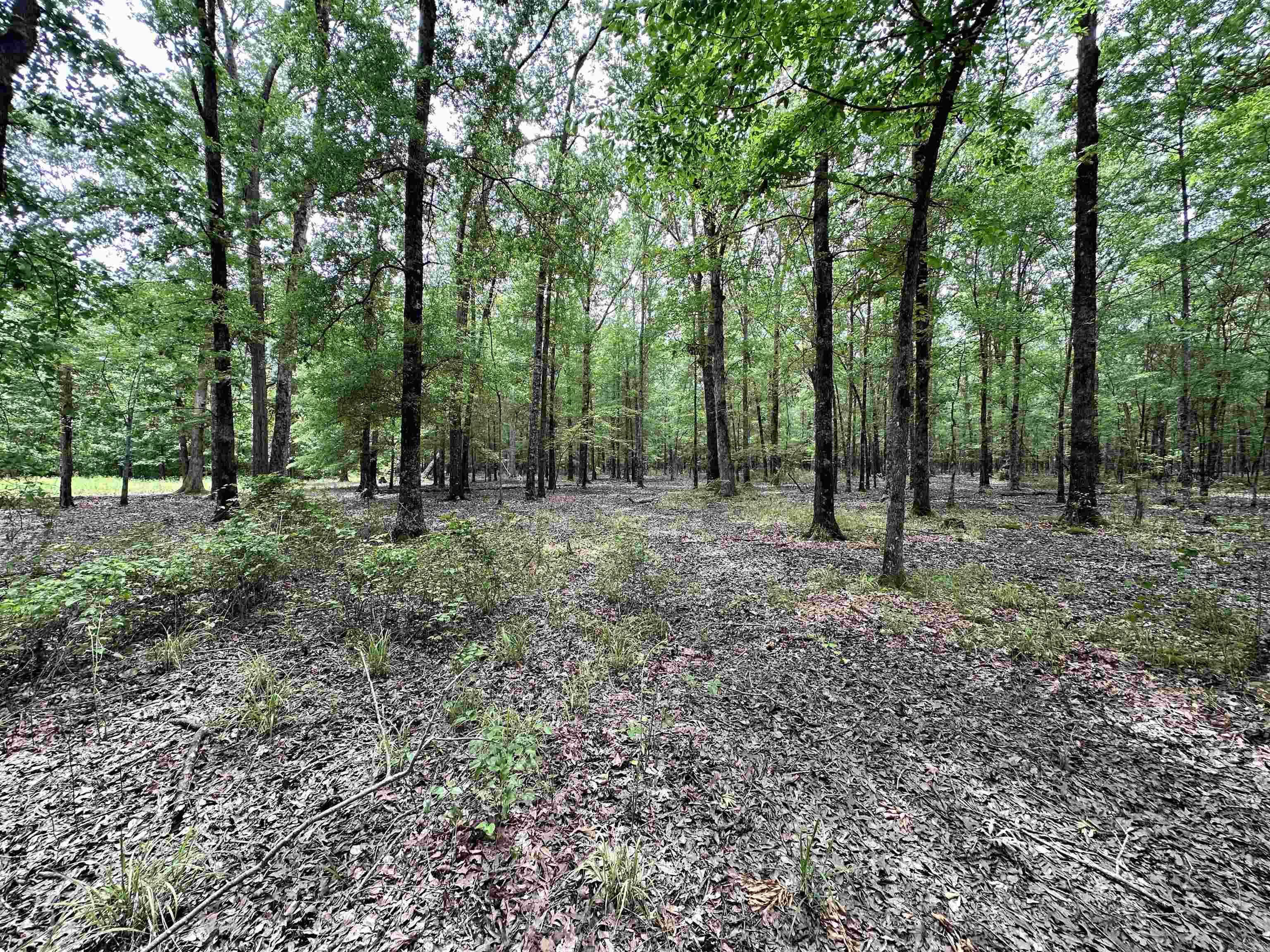 Metes & Bounds - Farm