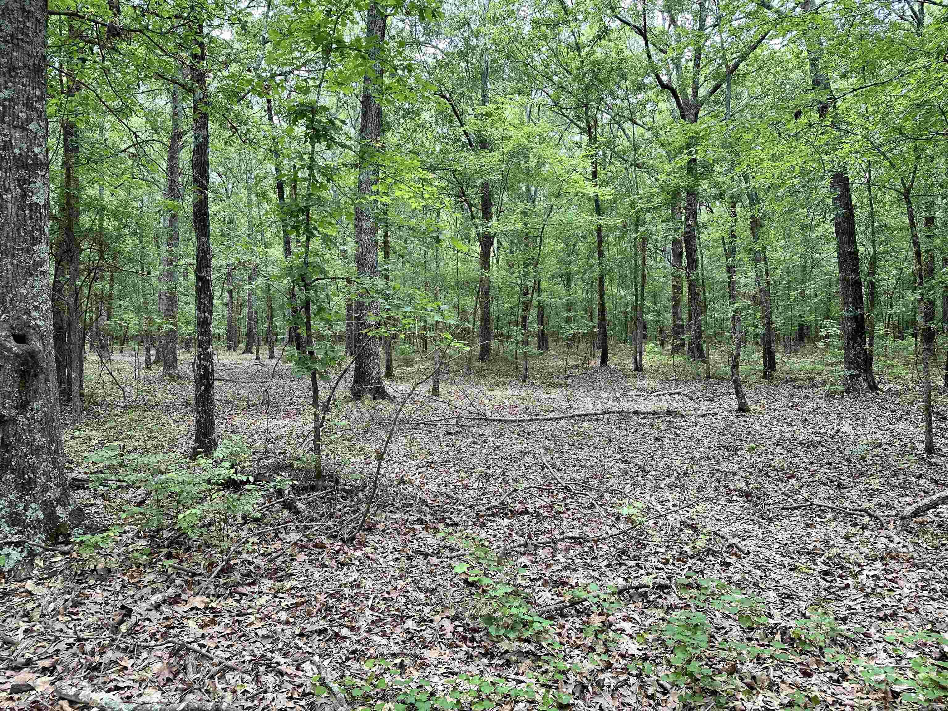 Metes & Bounds - Farm