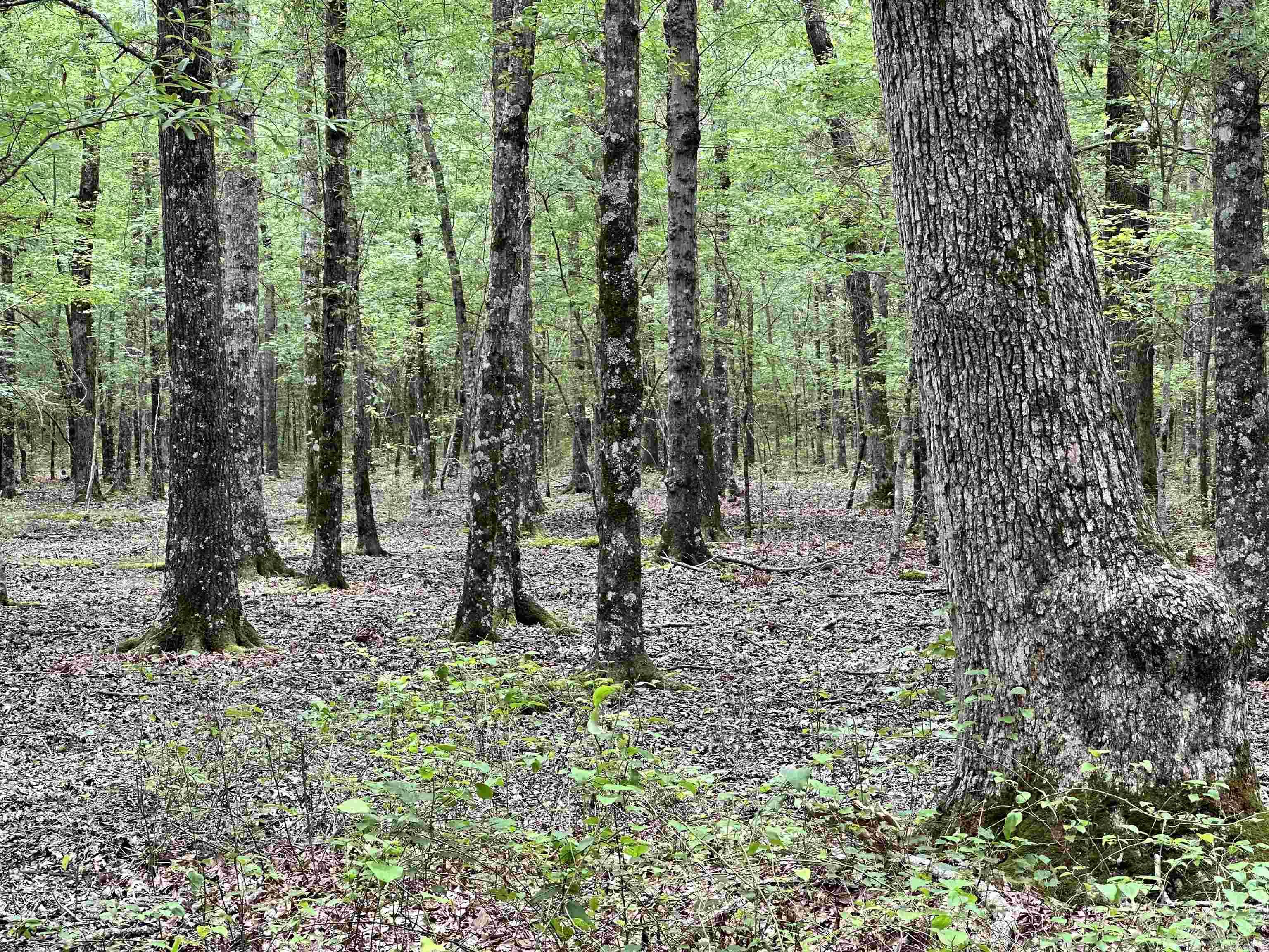 Metes & Bounds - Farm