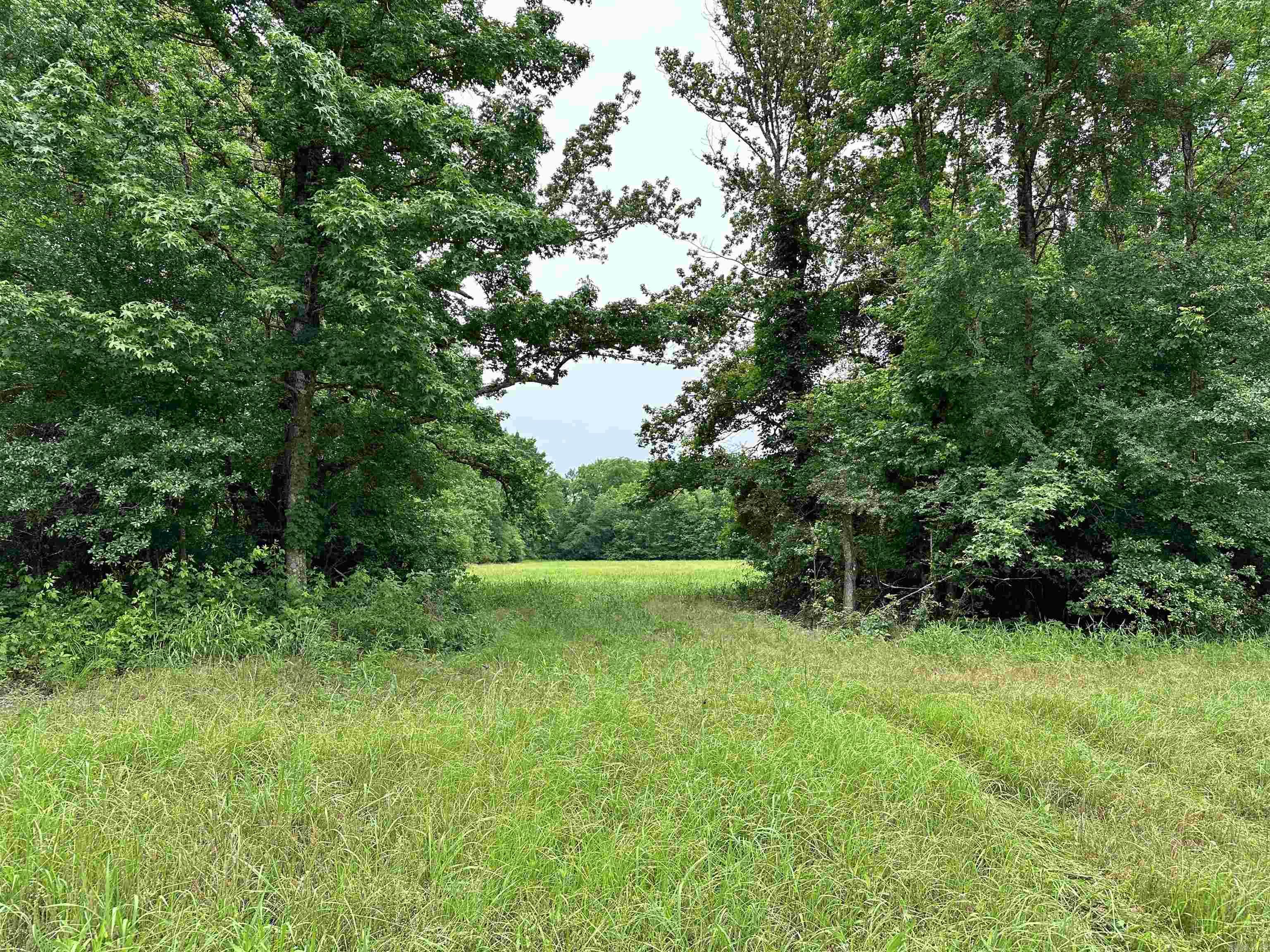 Metes & Bounds - Farm