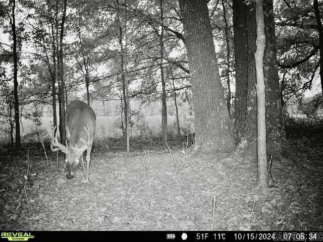 Metes & Bounds - Farm