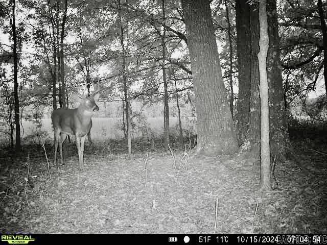 Metes & Bounds - Farm