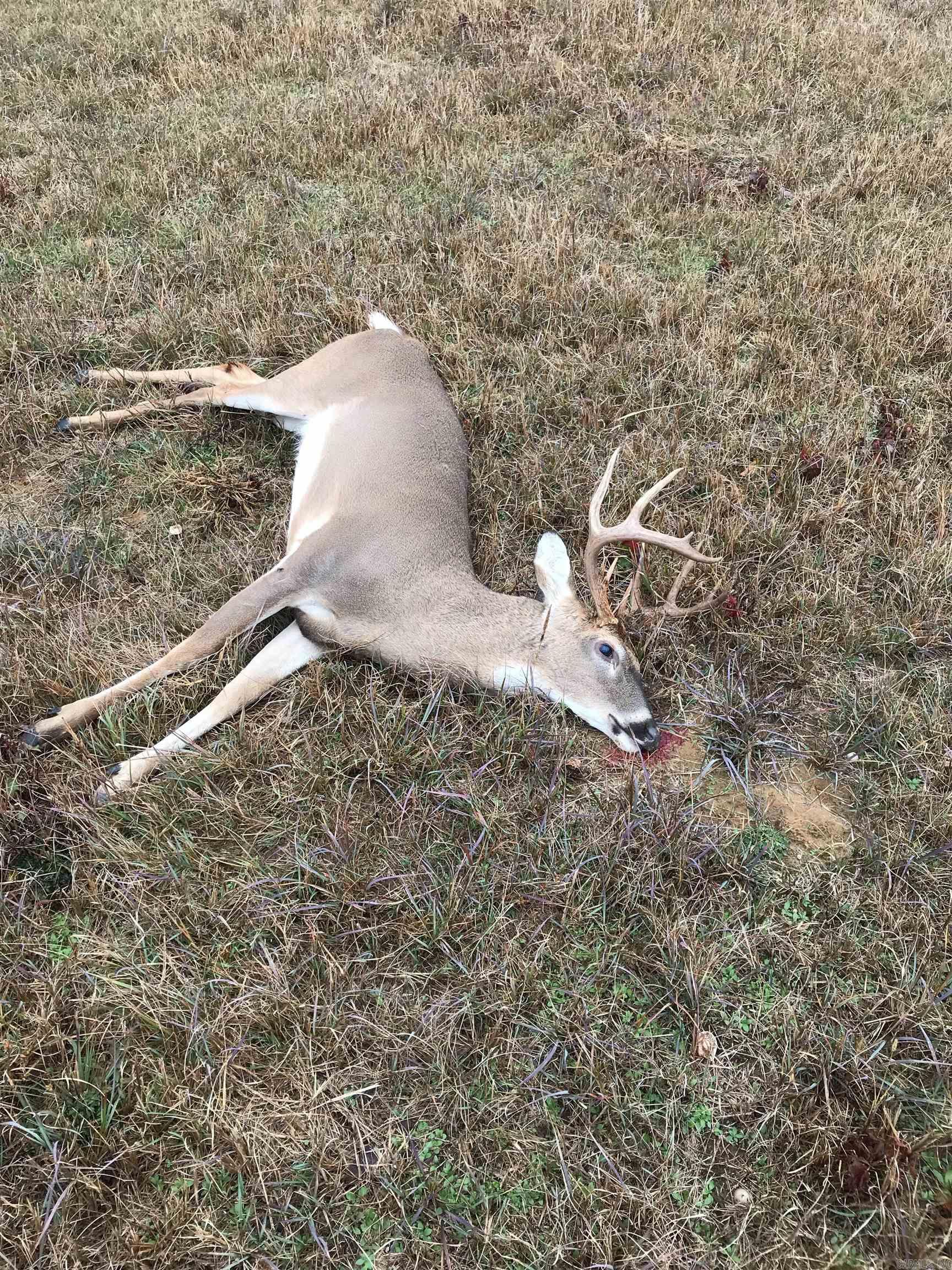 Metes & Bounds - Farm