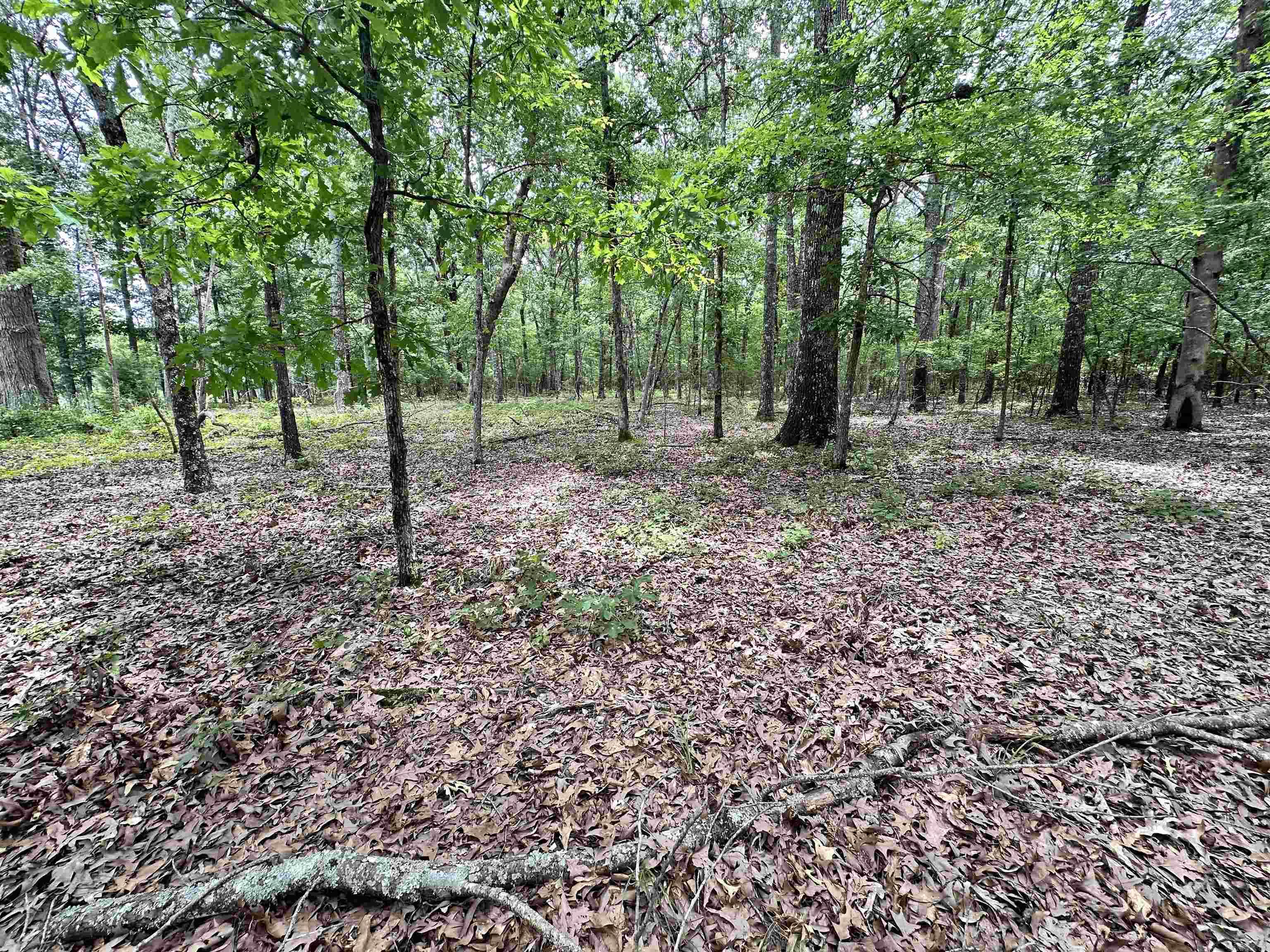 Metes & Bounds - Farm