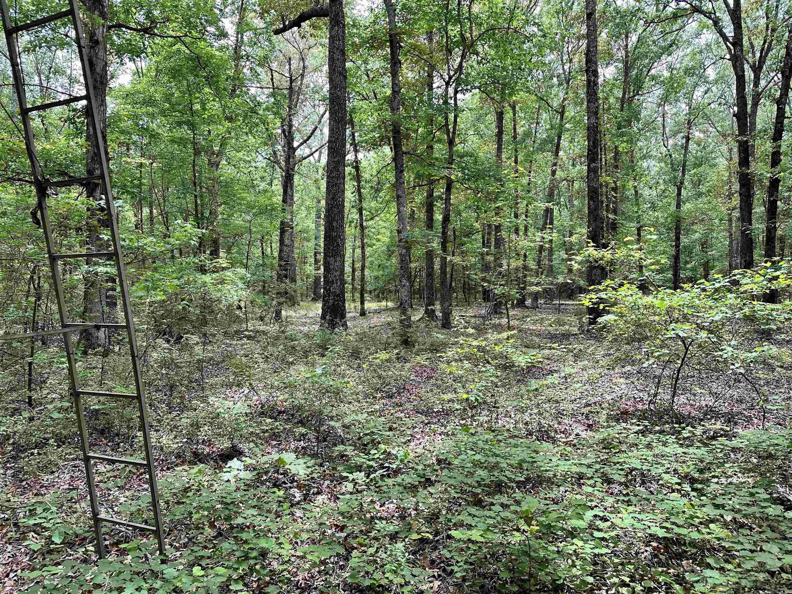 Metes & Bounds - Farm