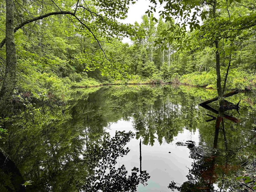180-Acre Farm on Oakdale Road – Lonoke County, AR  This exceptional 180-acre farm in Lonoke County has been cherished by the Beard family for nearly 100 years and offers a rare opportunity to own a piece of Arkansas history. The land features 50+ acres of lush pasture, perfect for livestock or agricultural use, with the remainder covered in mature hardwood timber—including white, red, and post oaks—creating an ideal environment for wildlife like whitetail deer and wild turkey. The property also includes a spring fed pond perfect for livestock and fishing.   Located just 10 miles north of Lonoke and south of Hickory Plains, this farm offers easy access via Hwy 236 and has power and water availability for building your dream home or cabin. Numerous potential building sites make it perfect for a private retreat or homestead.  Whether you’re looking to farm, hunt, or simply enjoy the beauty of nature, this is a rare find.  Call Marty Sikes at (501) 450-0963 to schedule a private showing today!