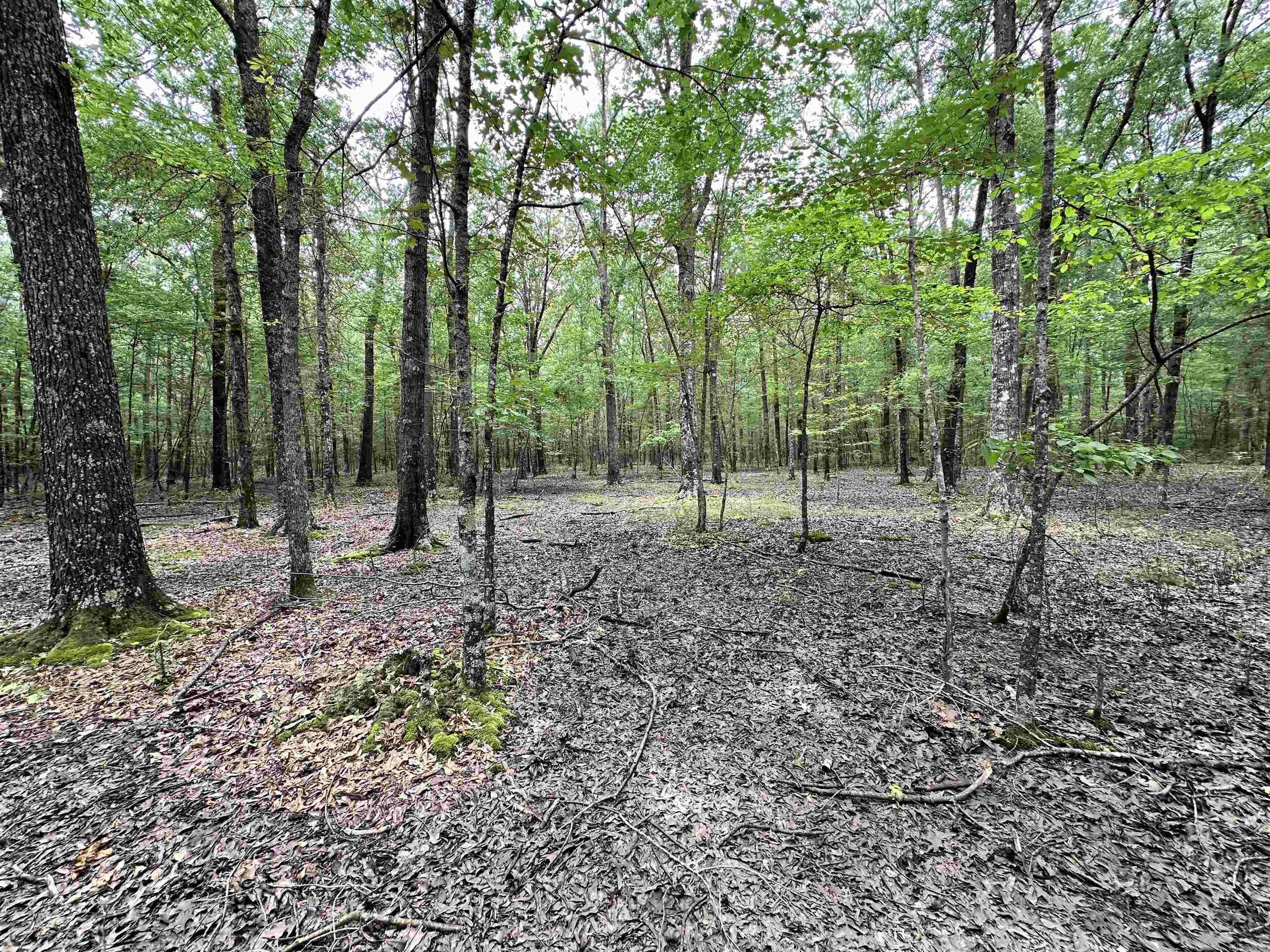 Metes & Bounds - Farm