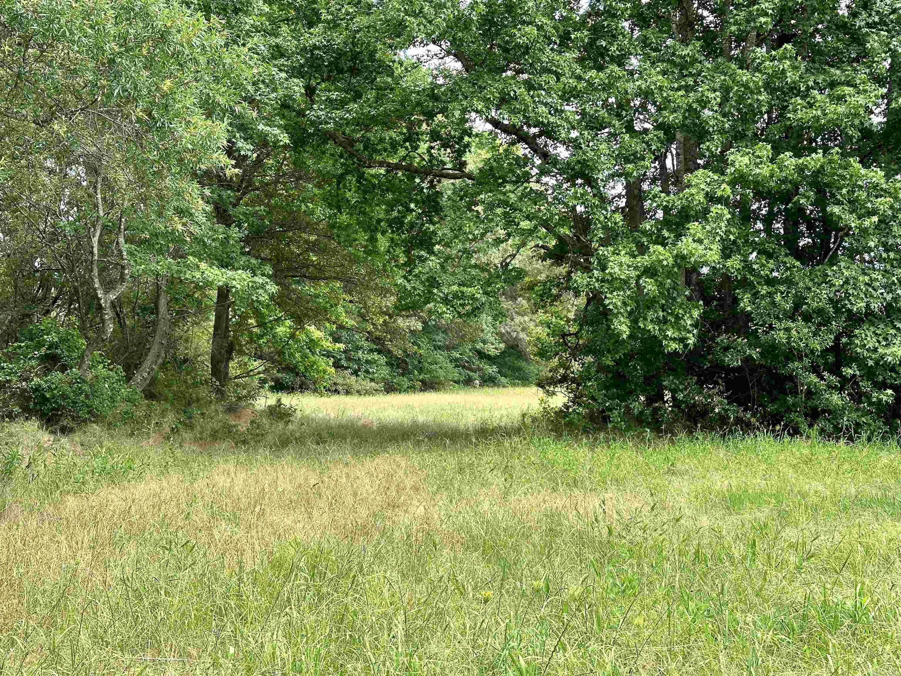 Metes & Bounds - Farm