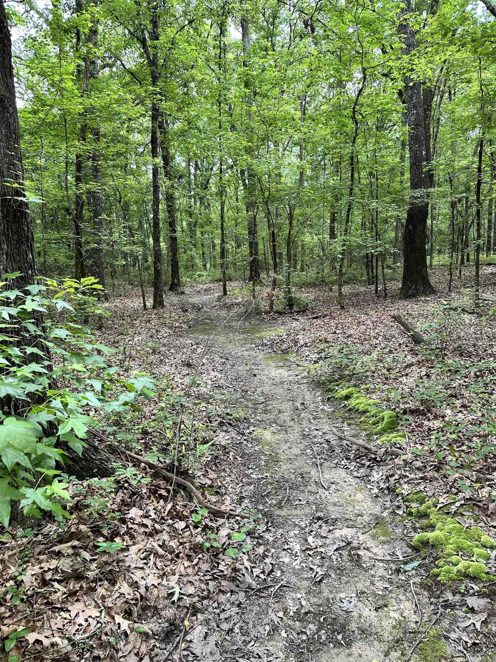 Metes & Bounds - Farm