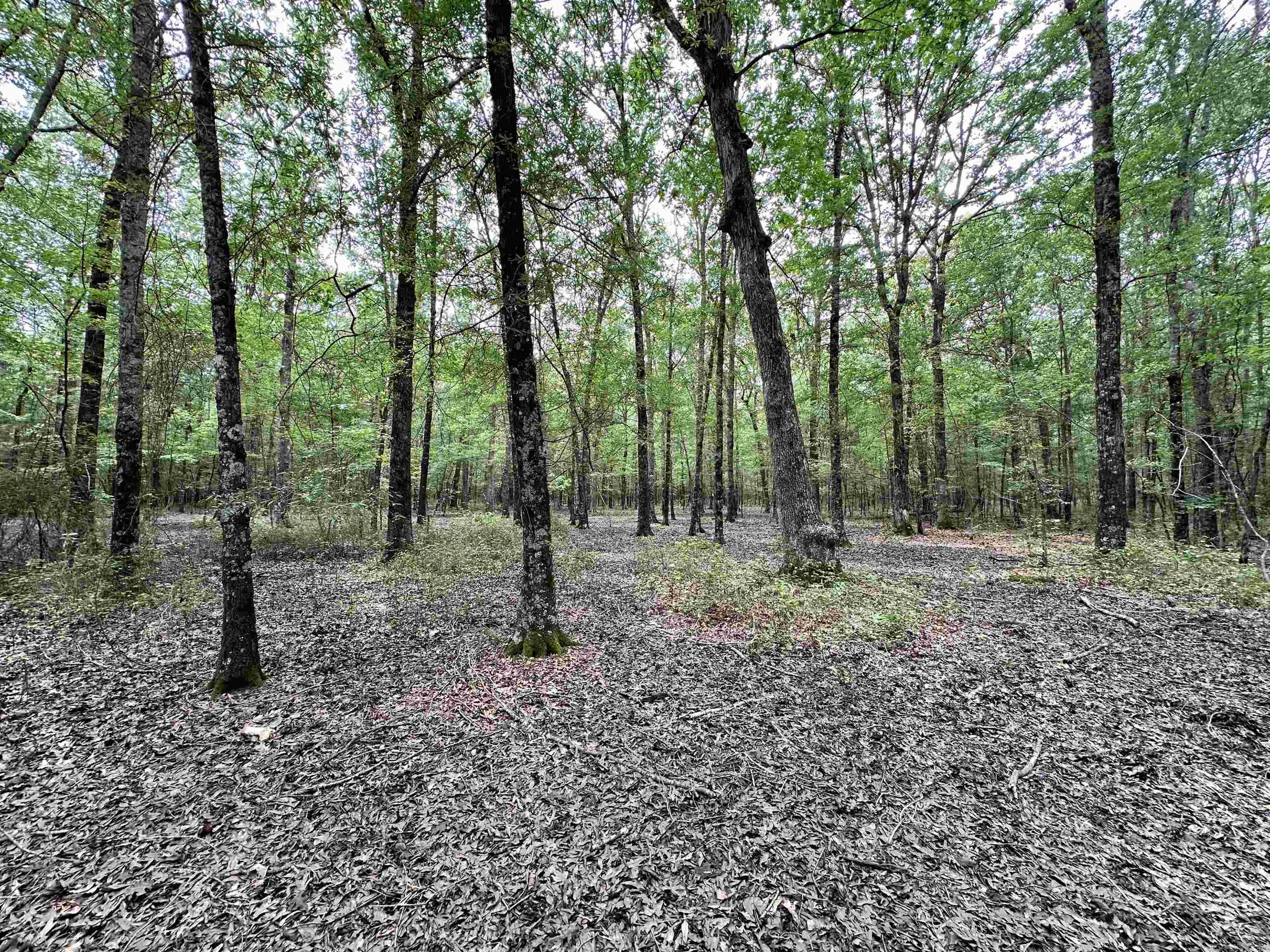 Metes & Bounds - Farm