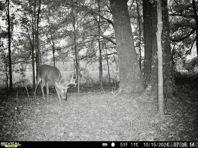 Metes & Bounds - Farm