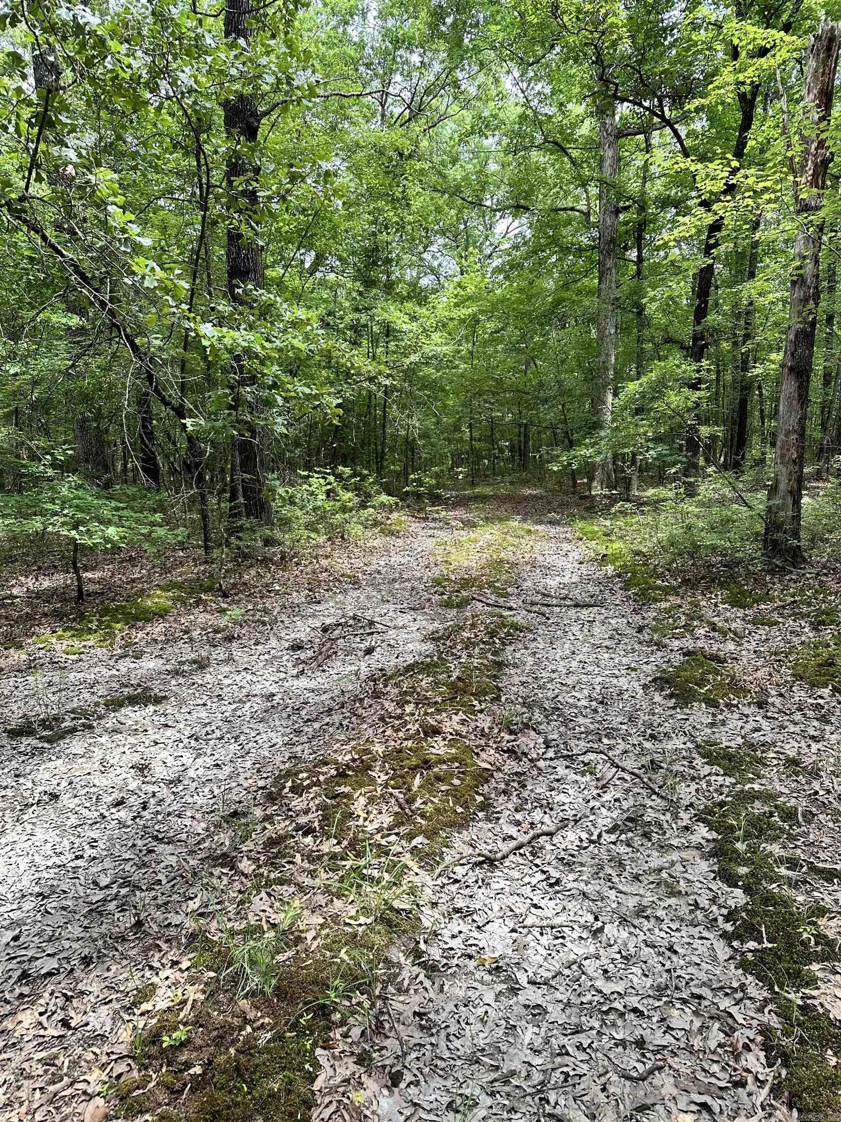 Metes & Bounds - Farm