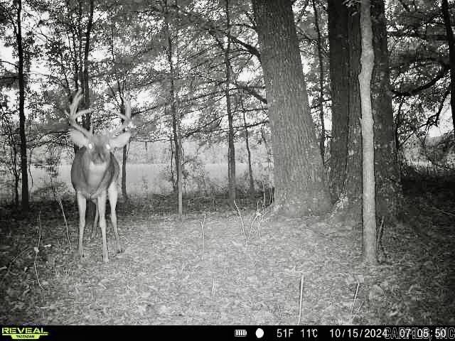 Metes & Bounds - Farm