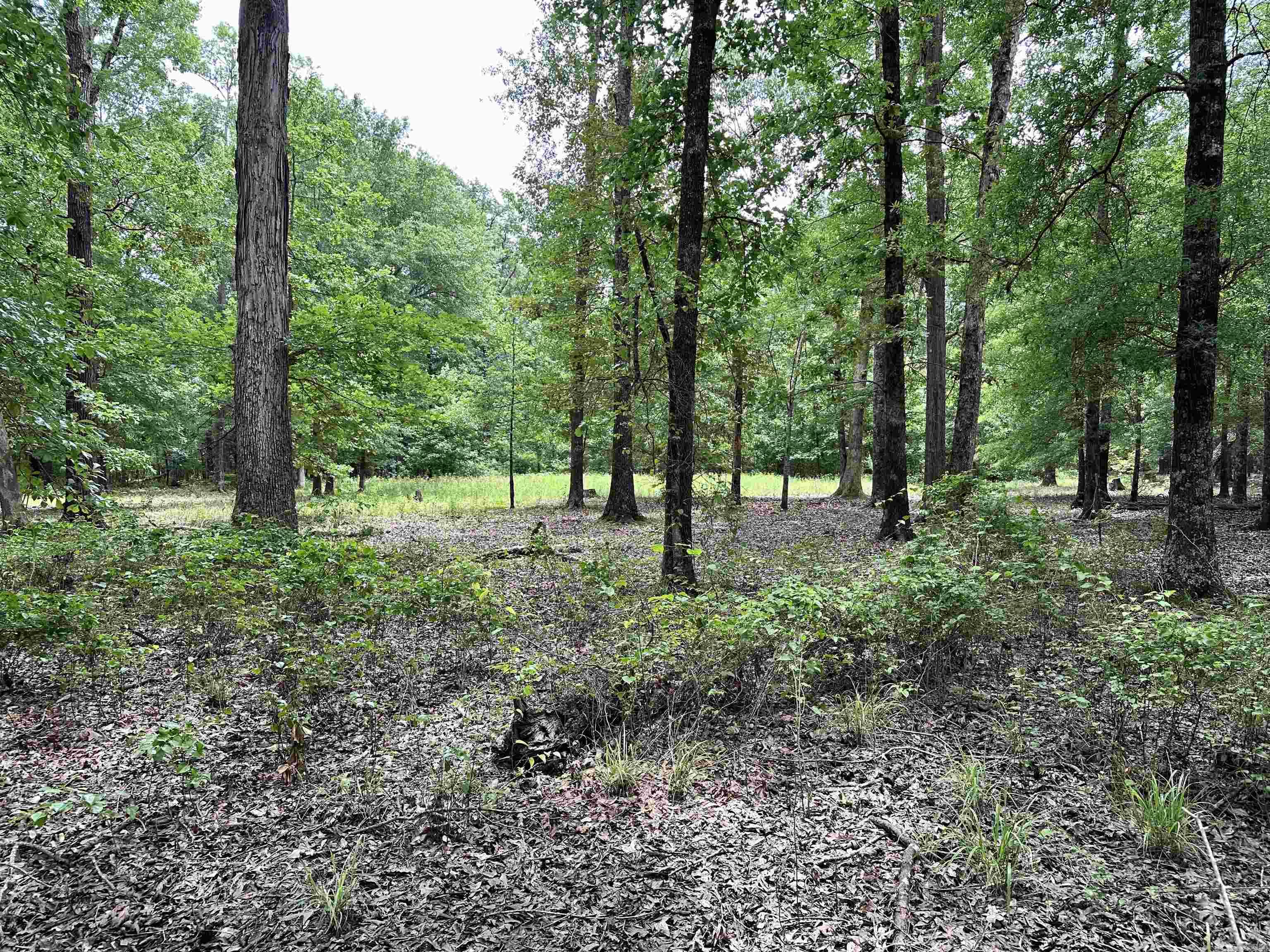 Metes & Bounds - Farm