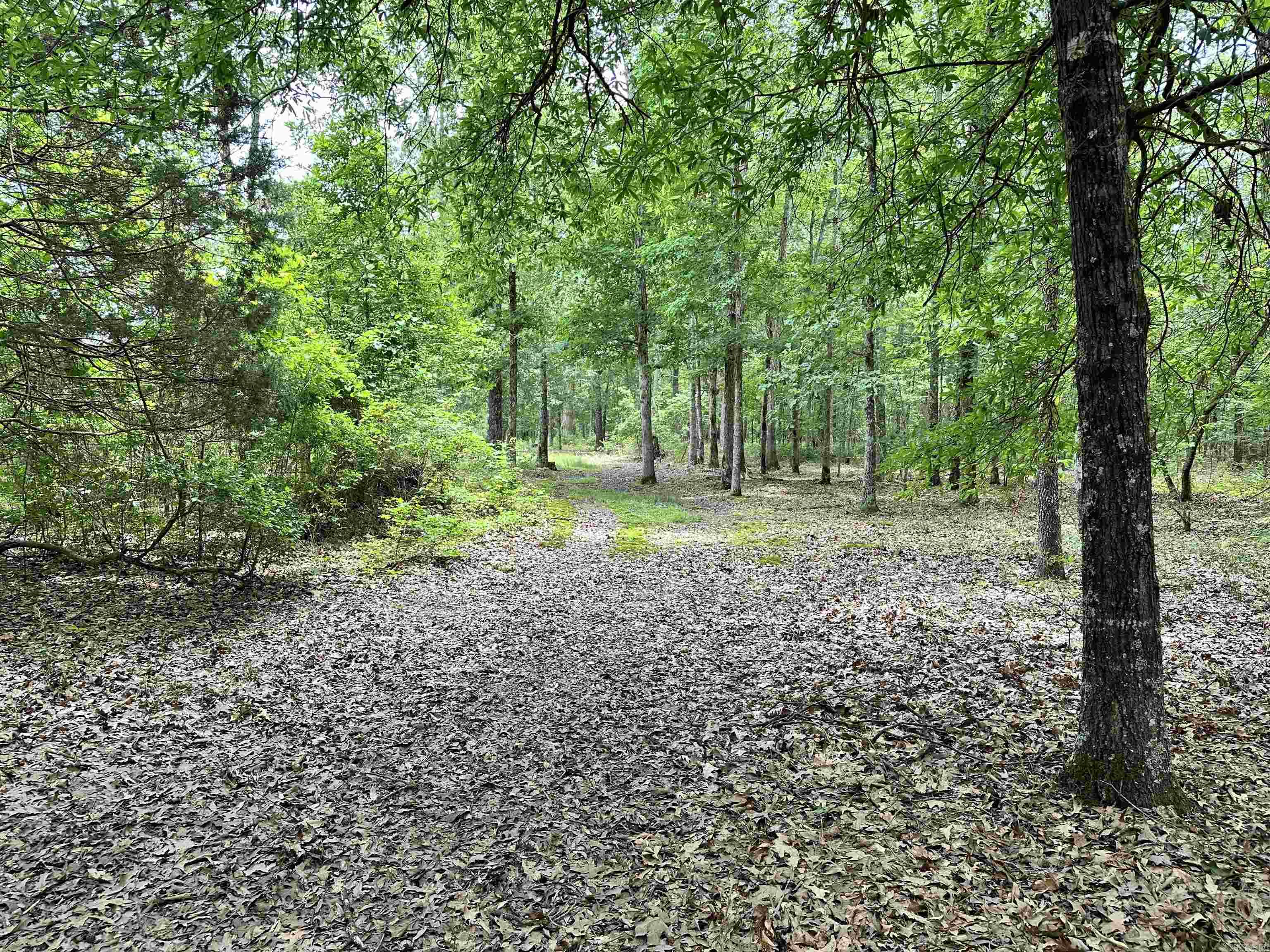 Metes & Bounds - Farm