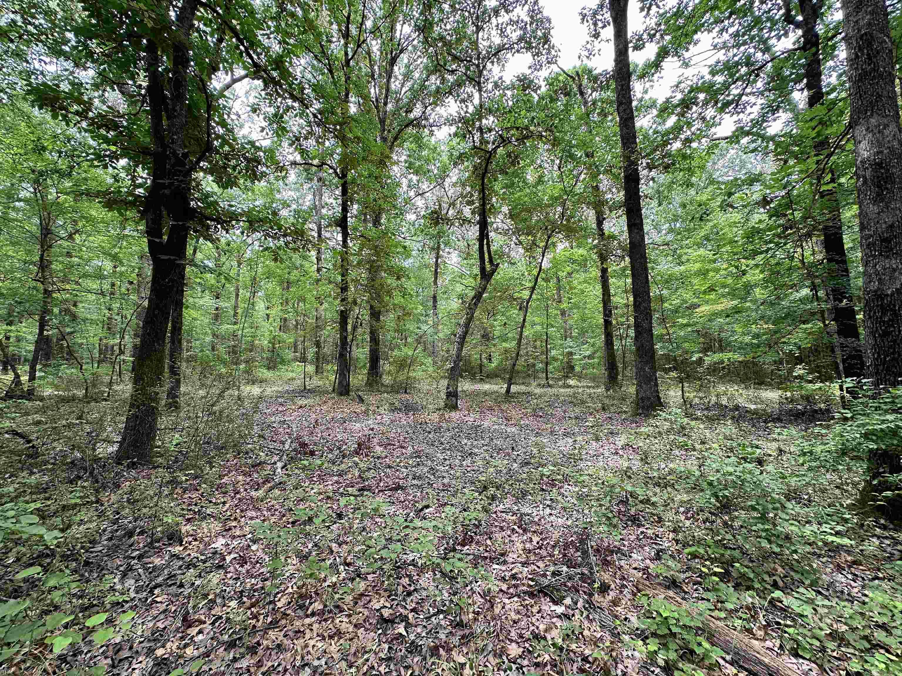 Metes & Bounds - Farm