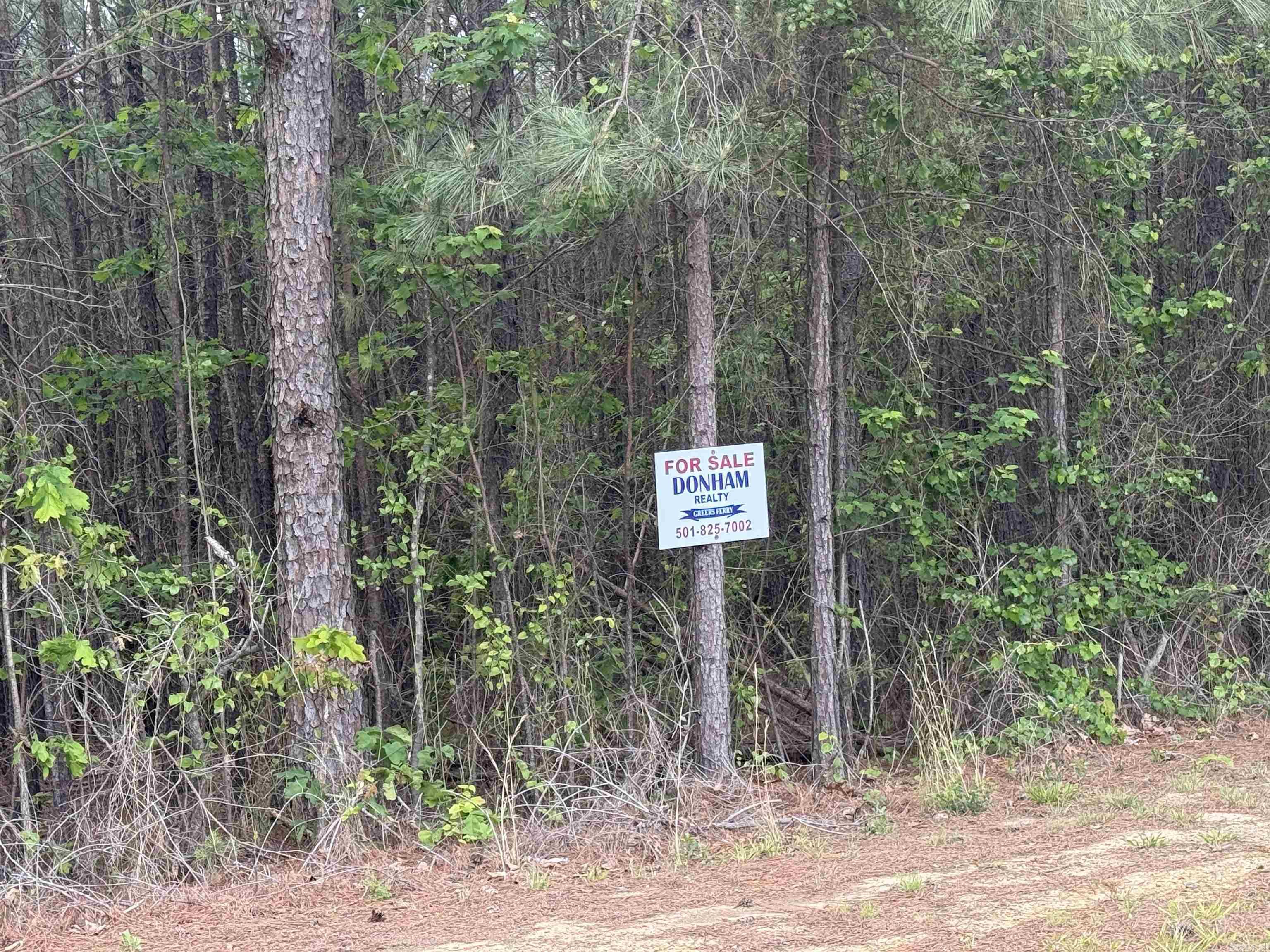 Holley Mountain Airpark - Land