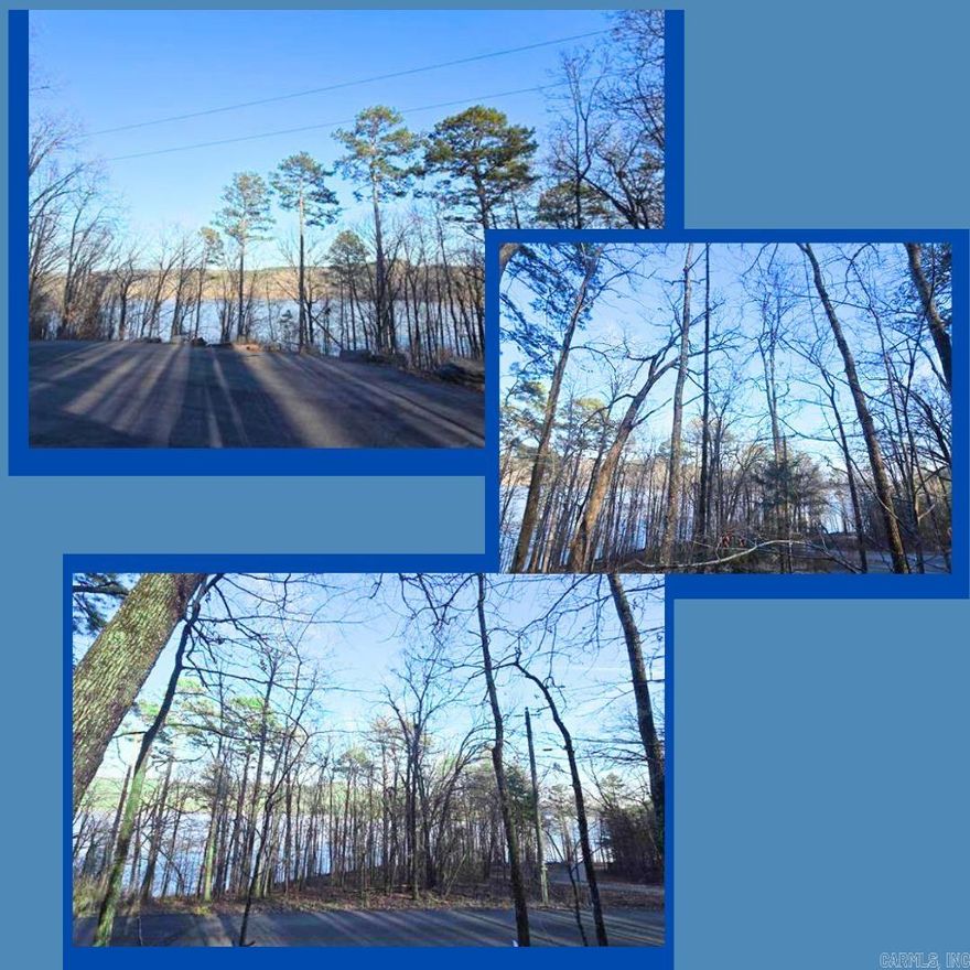 Build your dream lake home on this beautiful lot located on the crystal-clear waters of Greers Ferry Lake in the Ozarks. This lakefront property offers an excellent opportunity to create your ideal full-time residence, vacation home, or investment property. Conveniently located just minutes to great restaurants, stores, medical services, shopping and so much more. Outdoor recreation is abundant with nearby access to Fairfield Bay amenities, including miles of trails for hiking, biking, and ATV riding, as well as community pools, golf, and more. Enjoy the perfect combination of natural beauty, convenience, and recreational opportunities. Don’t miss this chance to own a piece of lakefront property.
