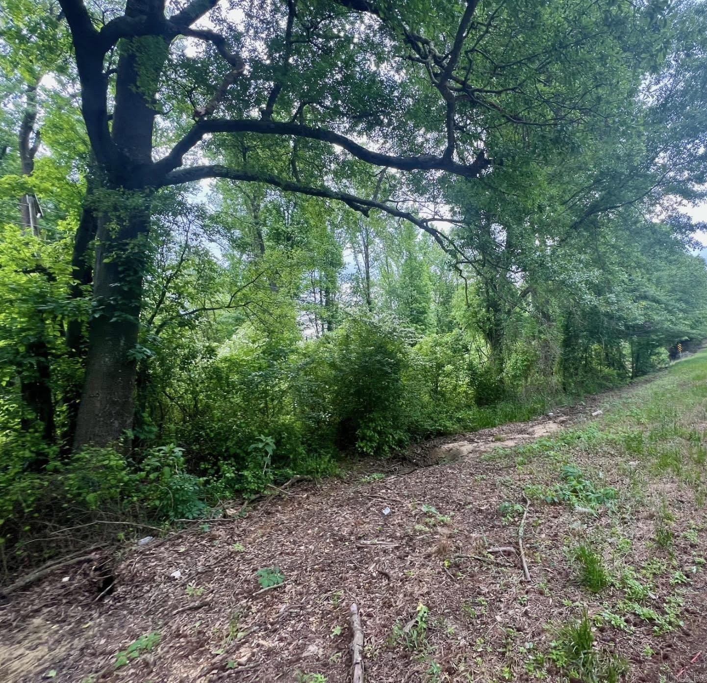58.88 acres timberland