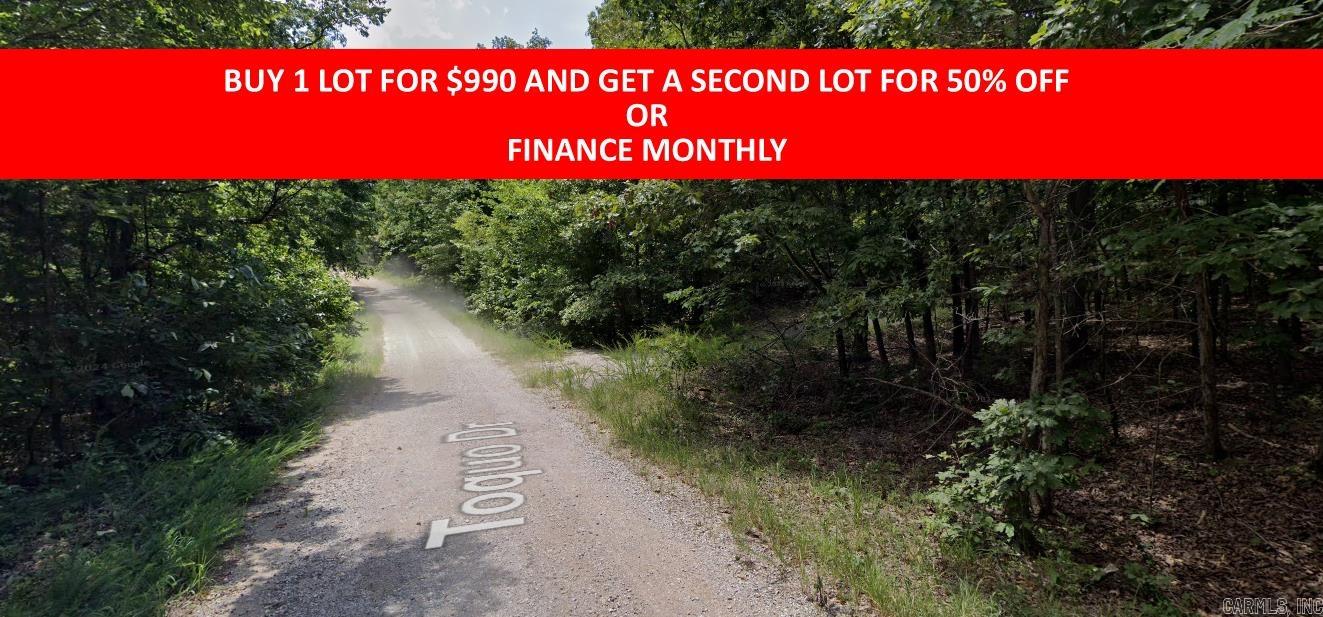 Buy one lot and get 50% off an additional lot! Owner-finance for easy terms. Cash buyers can pay by debit or credit card as well. Nice lot to develop or hold for future value. Public water and electric are available to run to property and will need septic. Owner/agent. No mobiles allowed. 600-2500 minimum build size on any other type of home, depending on subdivision. Finance is $100 down and 10 months at $99 and closing costs are included. Lots marked with red banner are part of promotion. No limit on lots. Buyer responsible for any/all taxes and lots sold "as-is". Quit claim deed conveys. Parcel ID# 200-13789-000