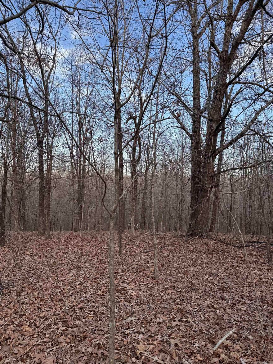 20 acres of timber on the ridge. Road frontage. Utilities accessible. Great hunting ground. Deer, turkey, small game. Several nice sights that could be cleared for a modular home or new build.