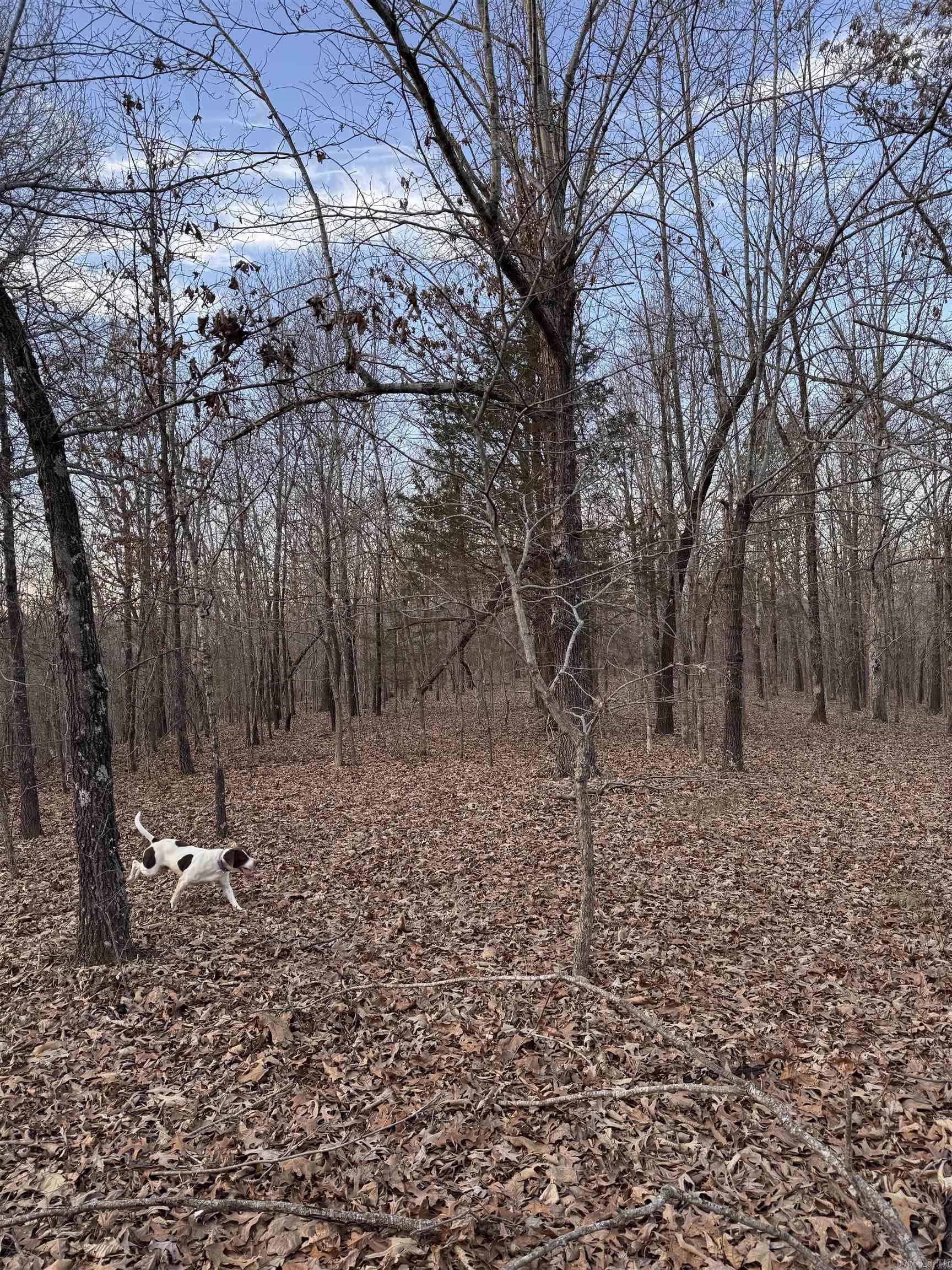 Not in Subdivision - Land