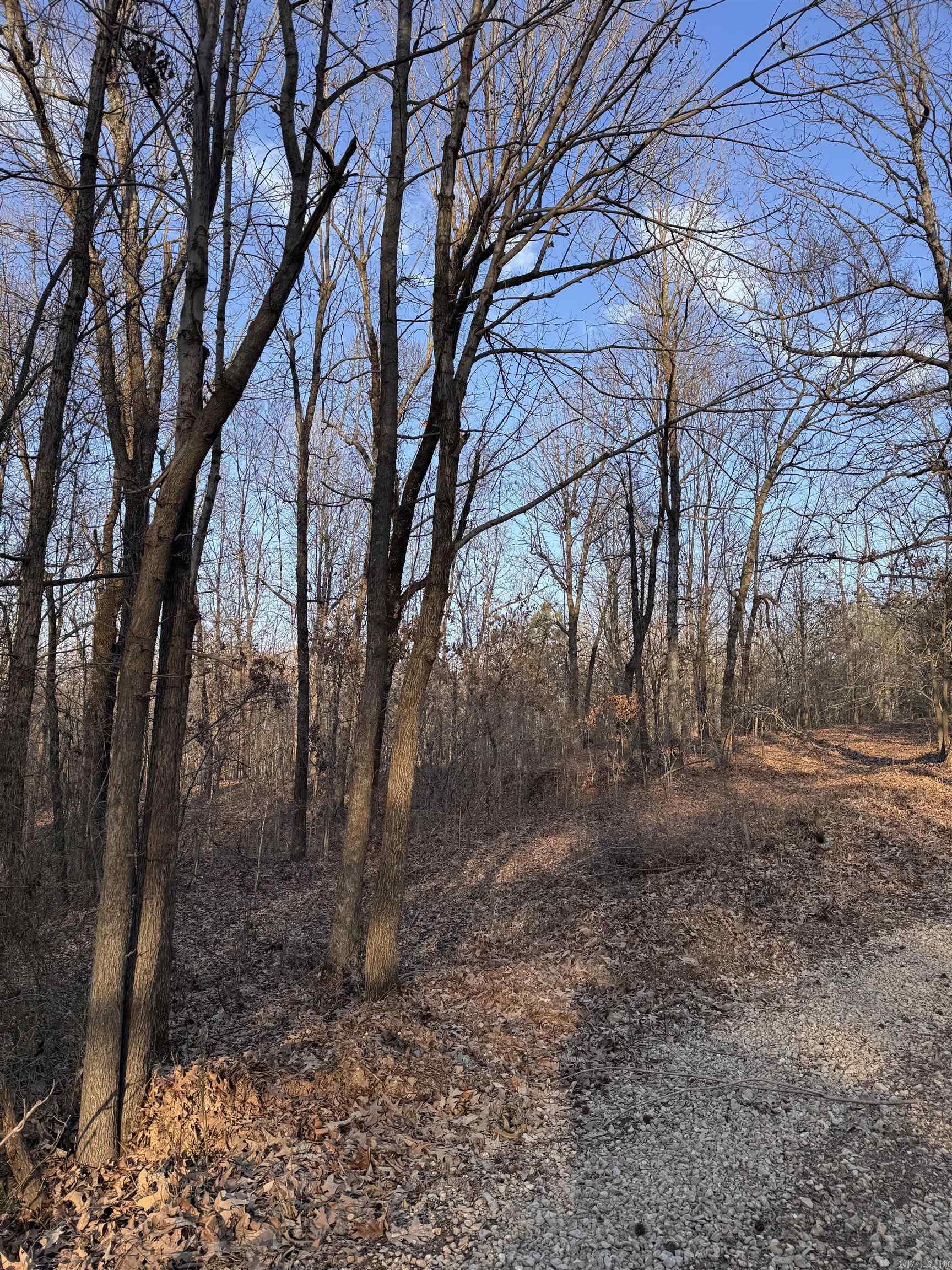 Not in Subdivision - Land