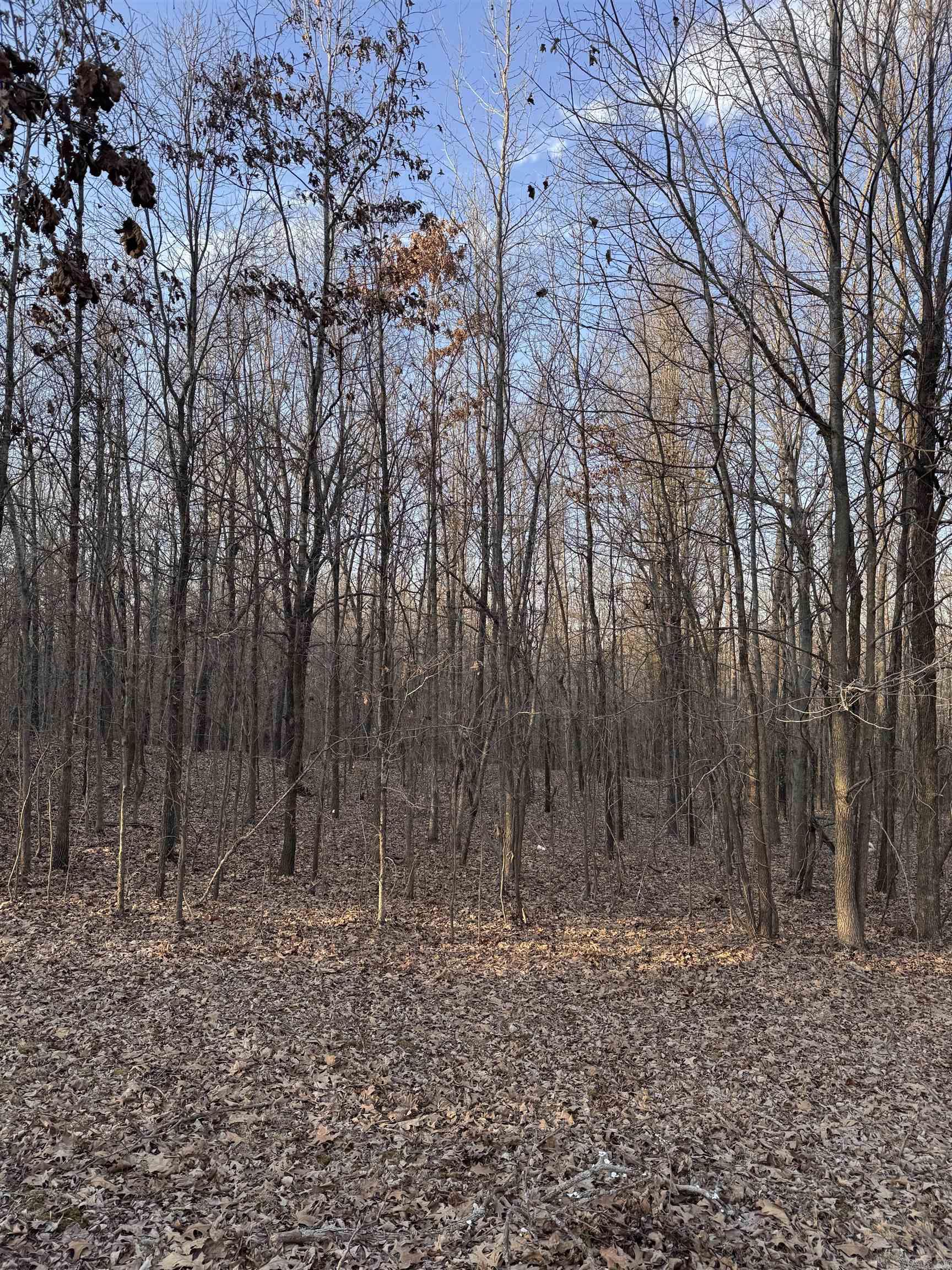 Not in Subdivision - Land