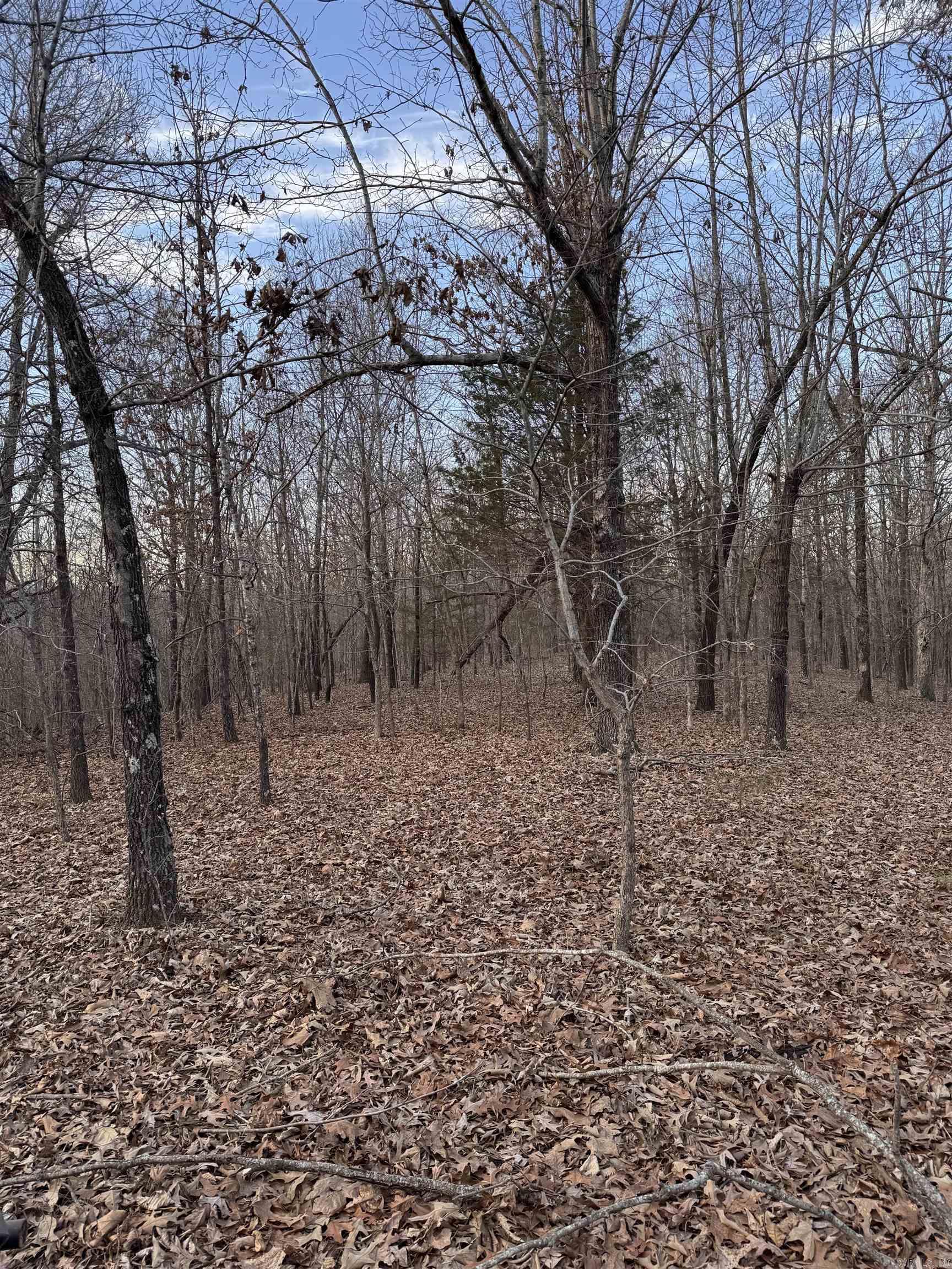 Not in Subdivision - Land