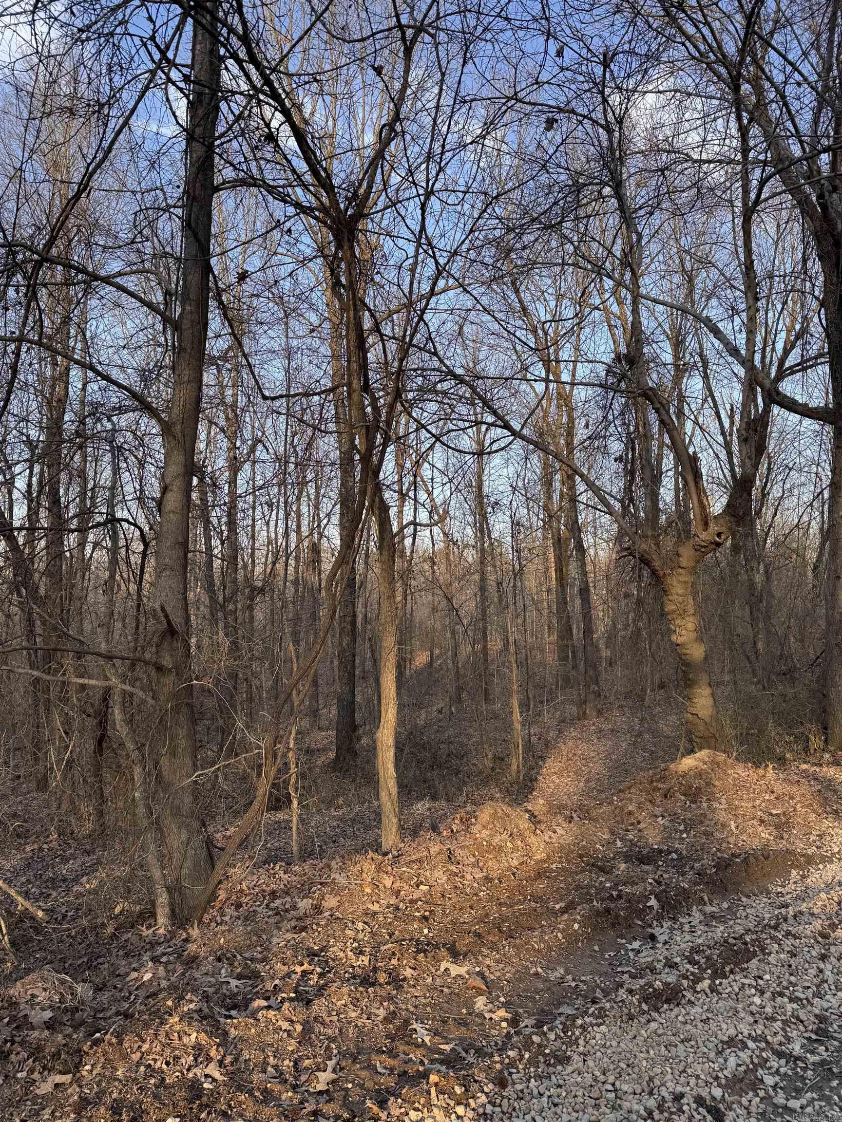 Not in Subdivision - Land