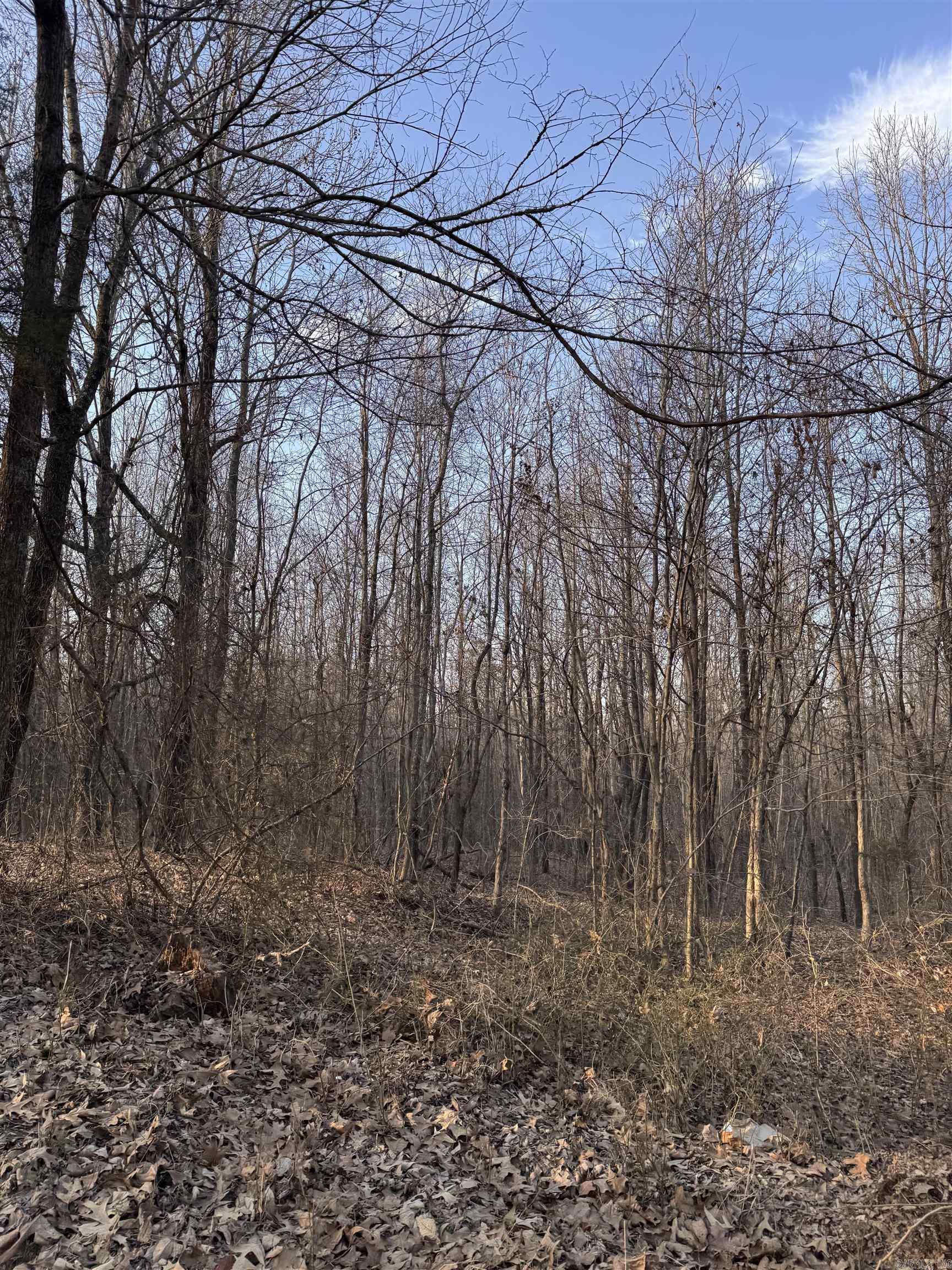 Not in Subdivision - Land