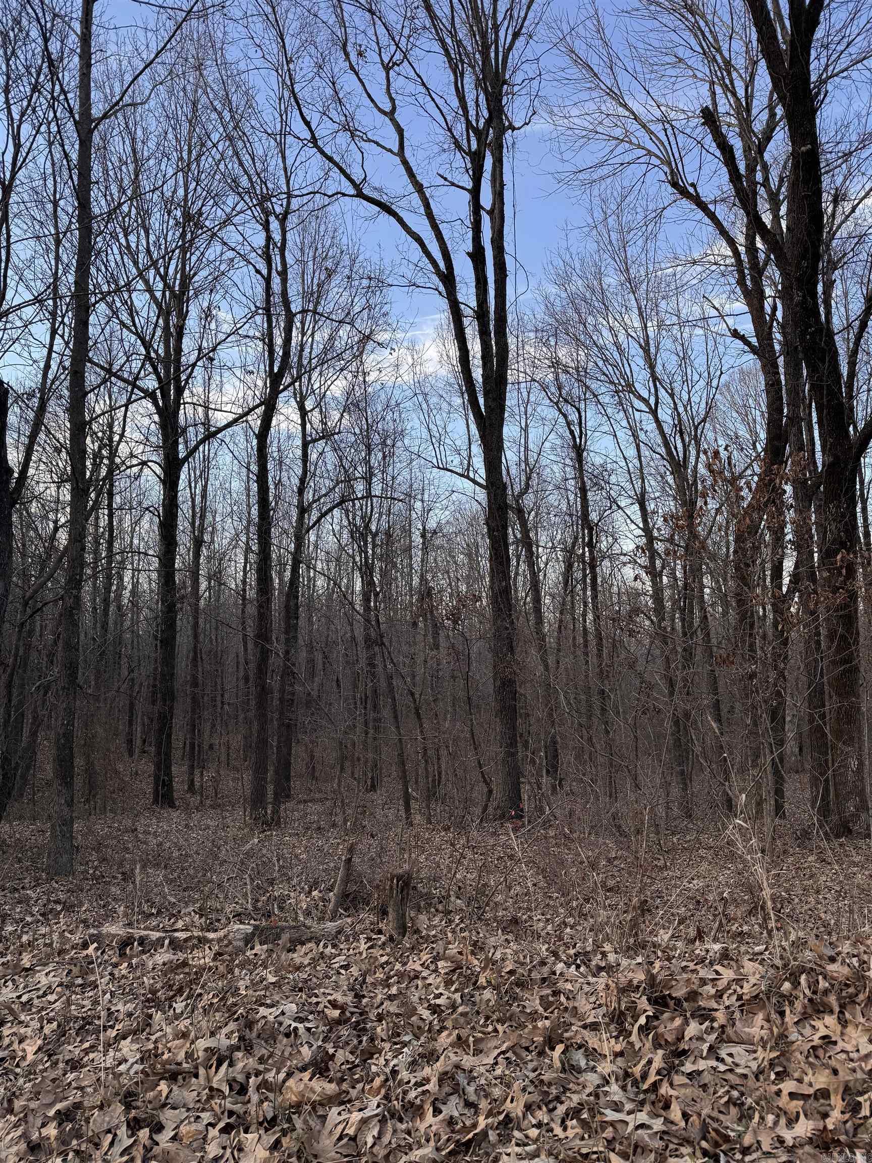 Not in Subdivision - Land