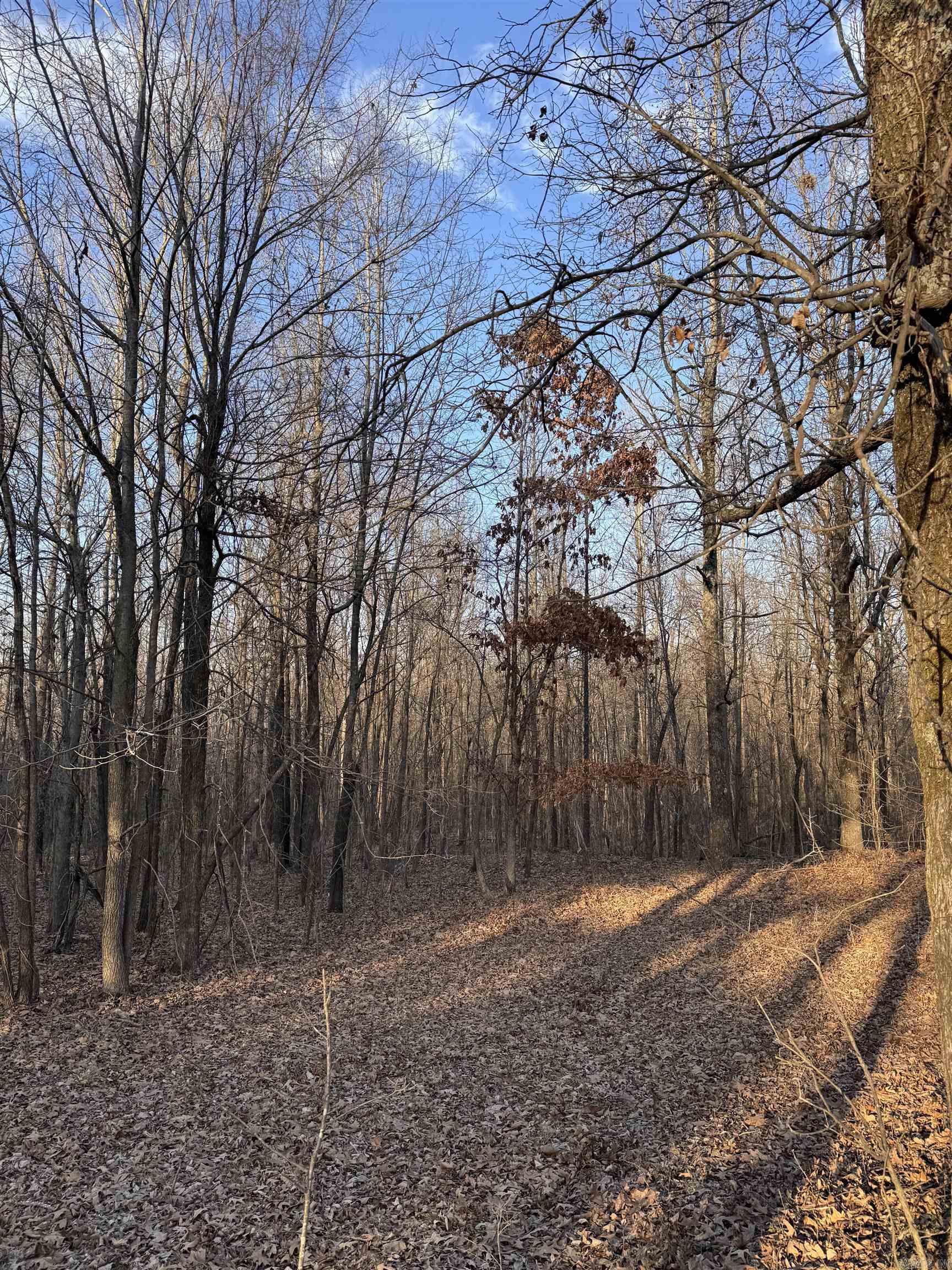 Not in Subdivision - Land