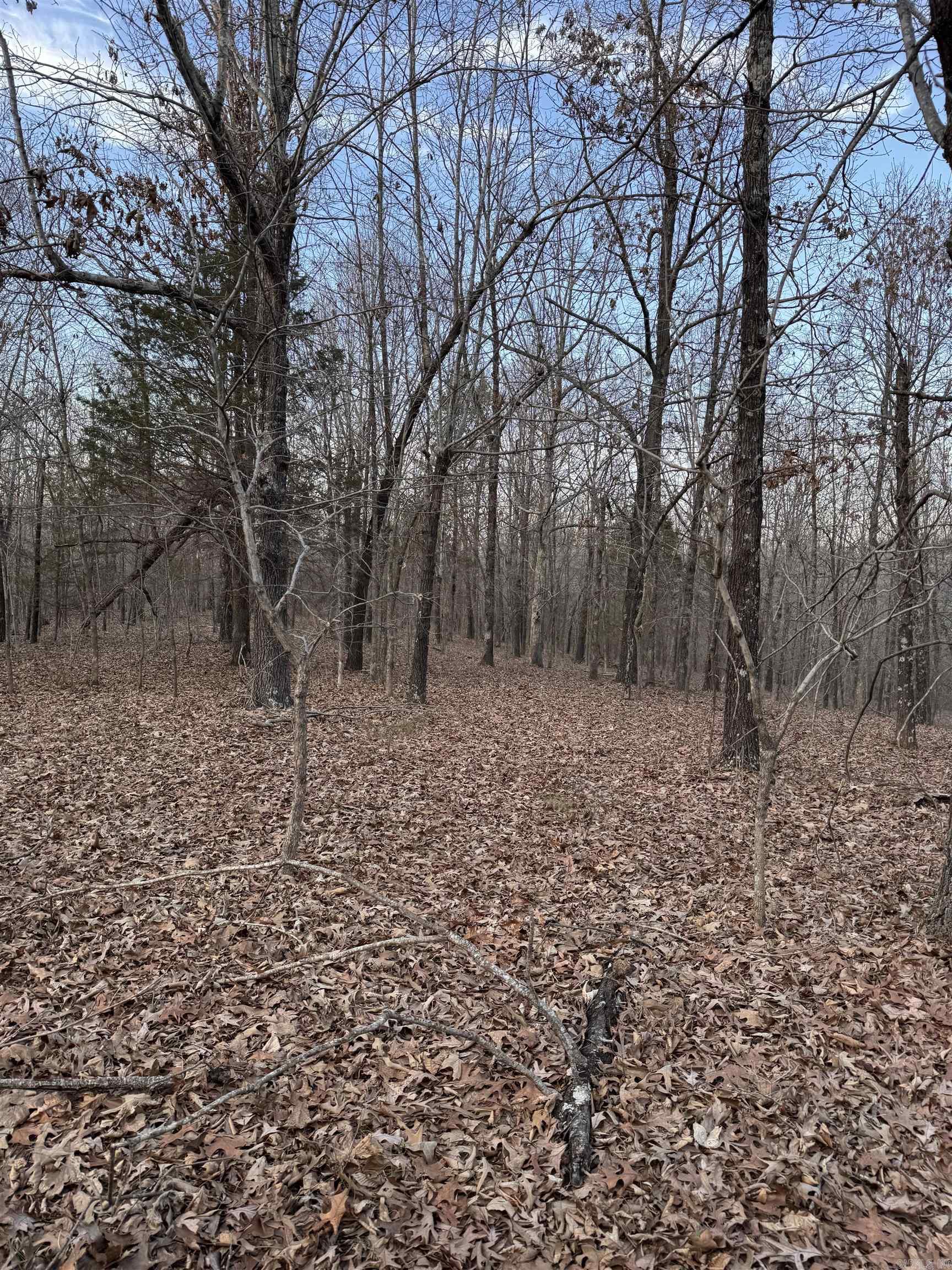 Not in Subdivision - Land