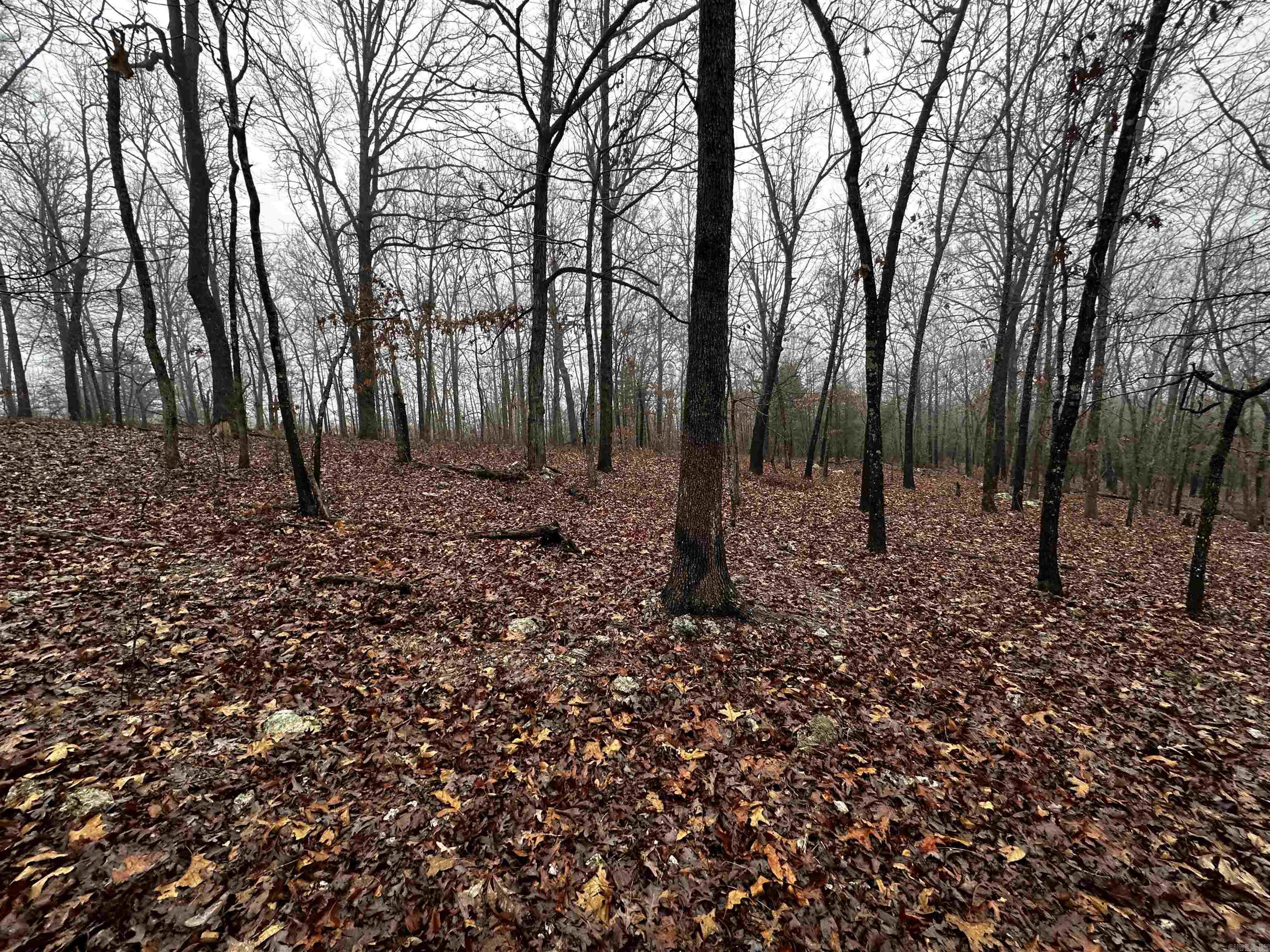 This could be it if you are looking for a place to build a home. It is located within 2 miles of the Strawberry River and 3 miles to the Simstown Access Strawberry River Park which is public! This would be a great piece to buy and build a small cabin to enjoy in the summer for swimming, kayaking, and fishing the river, and during hunting season, lease out a spot or hunt the WMA's close! Great location in a central area!