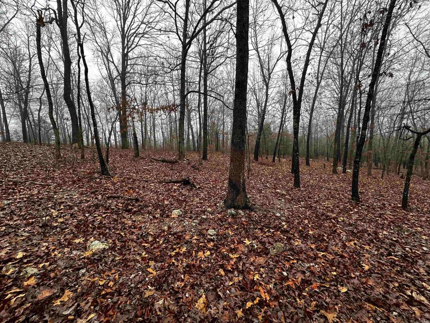 This could be it if you are looking for a place to build a home.  It is located within 2 miles of the Strawberry River and 3 miles to the Simstown Access Strawberry River Park which is public!  This would be a great piece to buy and build a small cabin to enjoy in the summer for swimming, kayaking, and fishing the river, and during hunting season, lease out a spot or hunt the WMA's close!  Great location in a central area!