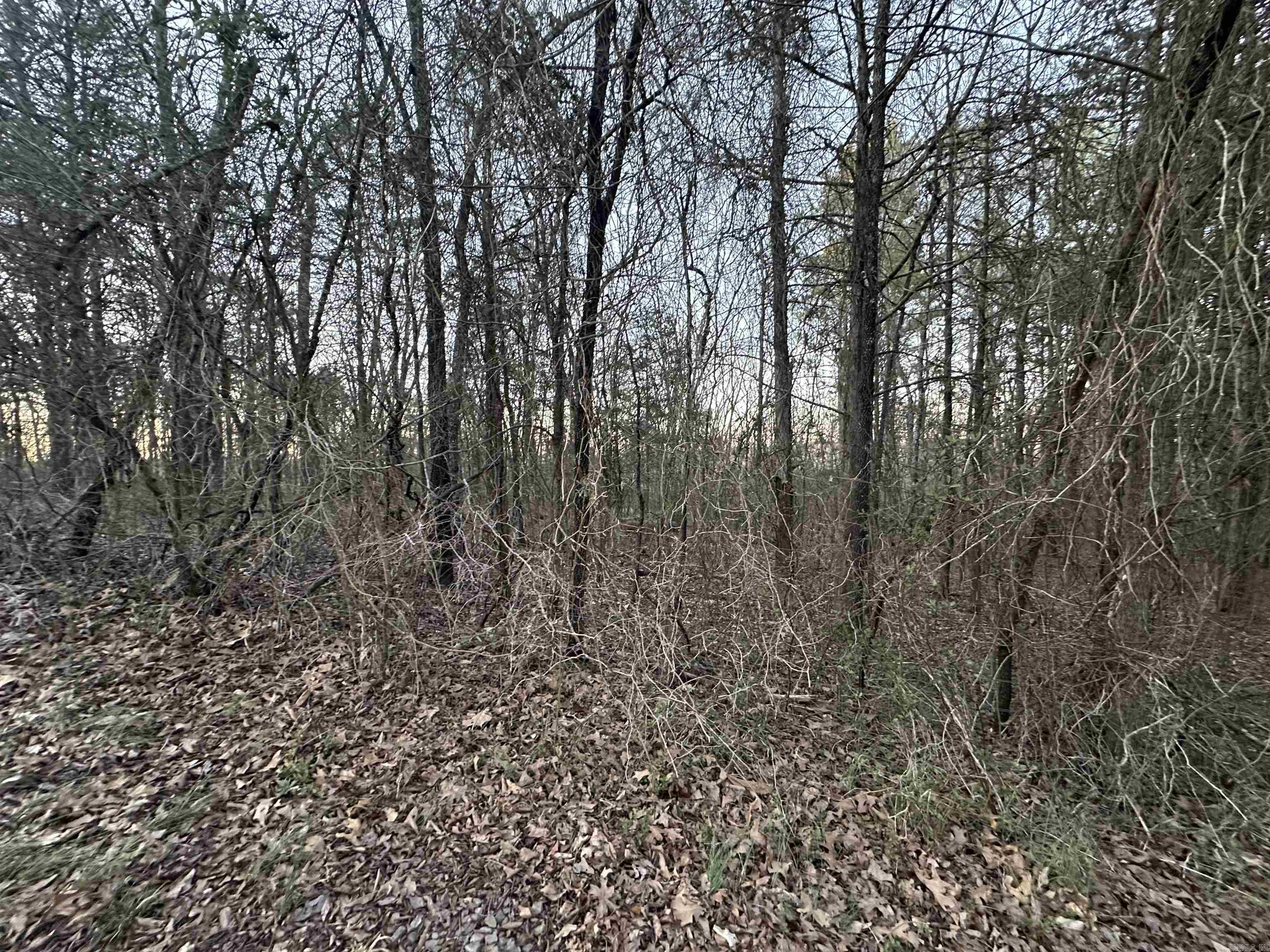 Metes & Bounds - Land