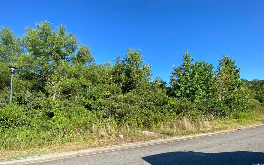 Residential Lot located in Weathering Heights Subdivision in the Cabot School in Austin, AR.  Desired neighborhood for Buyers.
