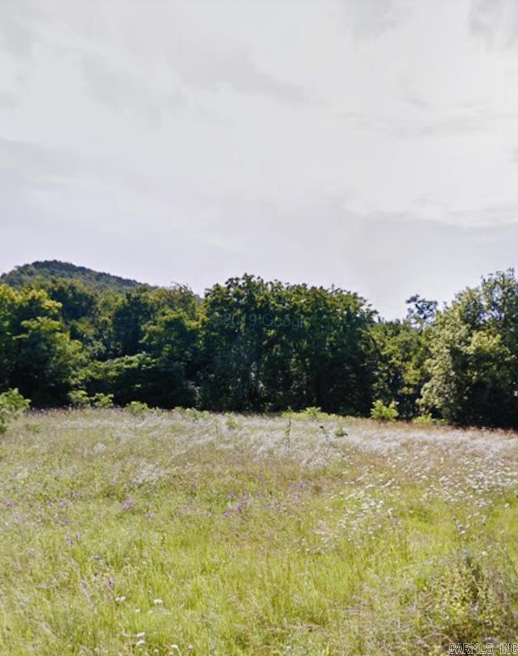 Approximately 4 acres ideally located on Range Street in Marshall. Septic required. Call the listing office or agent for additional information.