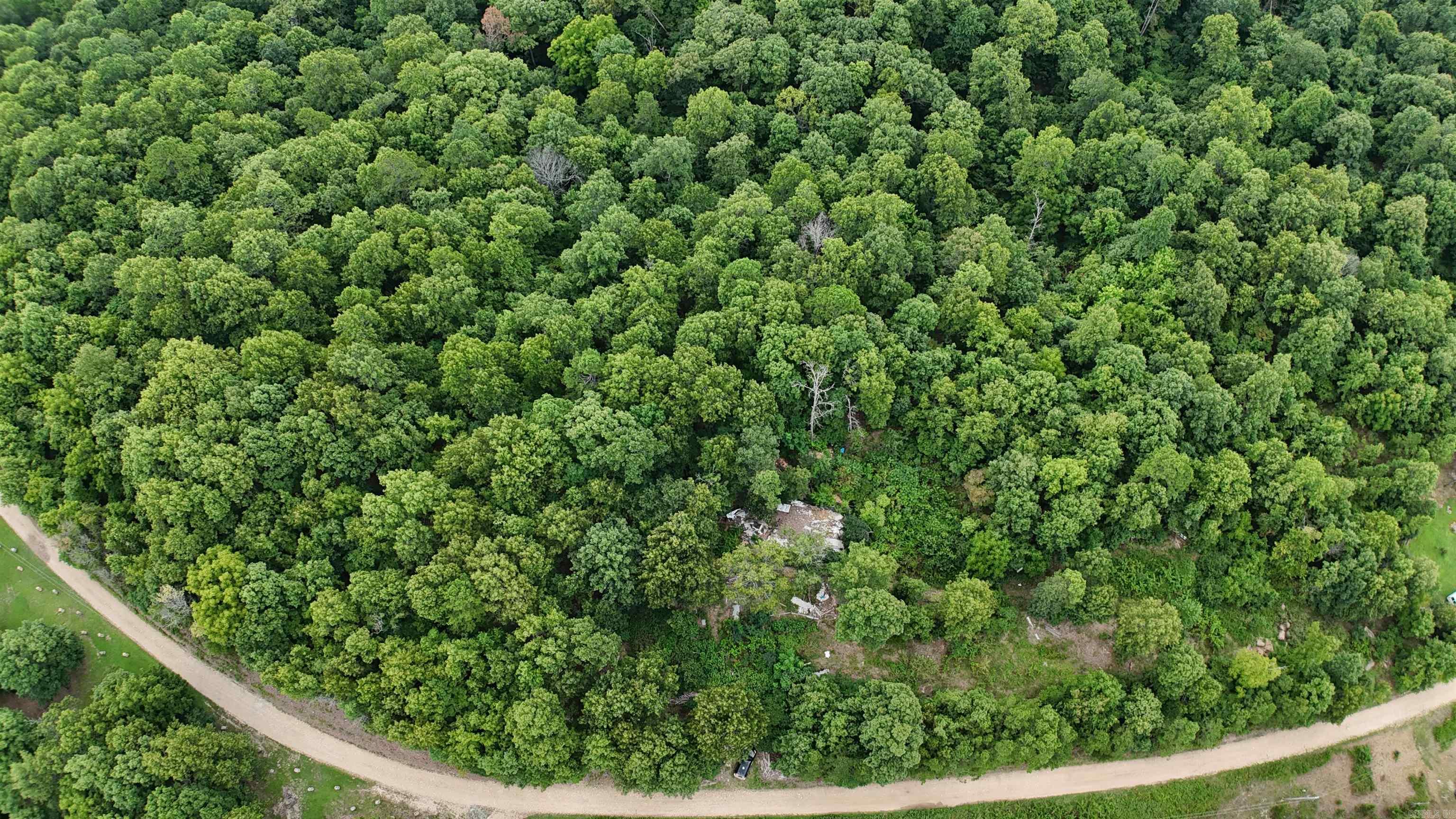 Looking for hunting property, or a place to park your RV? Or even build your dream home? This 10.93 acres m/l has power at the road, and access to a community well. Priced to sell quickly, don't miss this opportunity! Get ready to enjoy the great outdoors. Property is located approximately 30 mins from the Buffalo River and National Park.